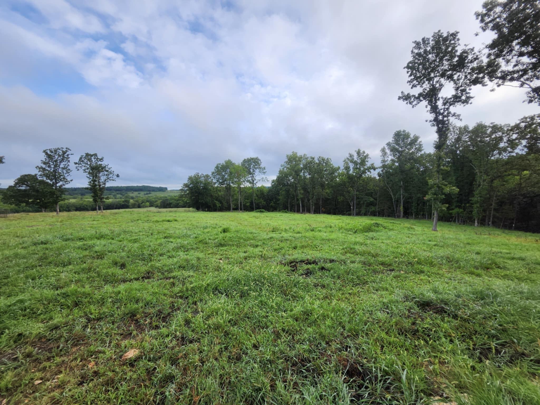 9551 C-highway Ff Property Photo 23