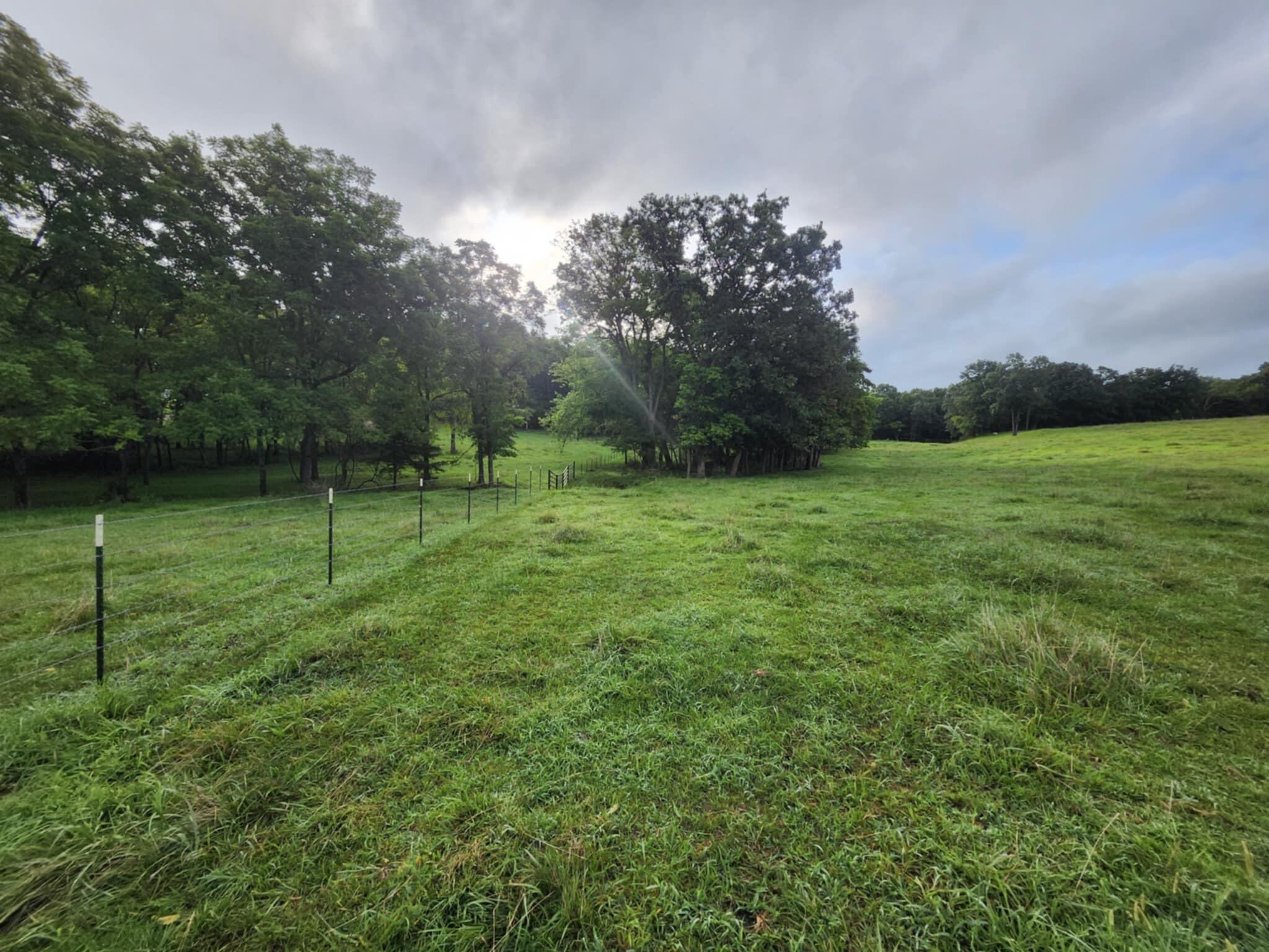 9551 C-highway Ff Property Photo 36