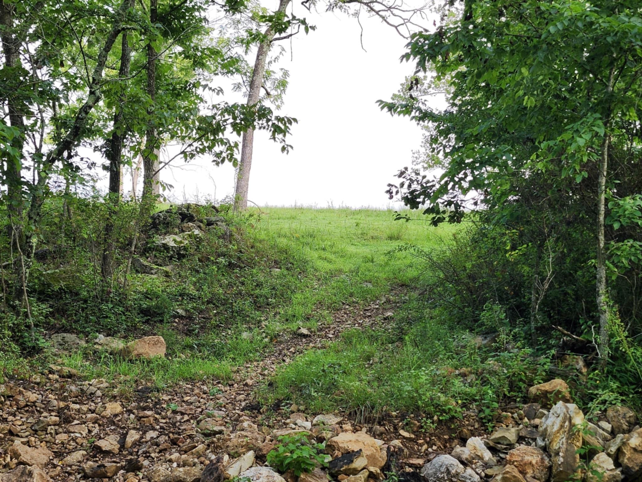 9551 C-highway Ff Property Photo 55