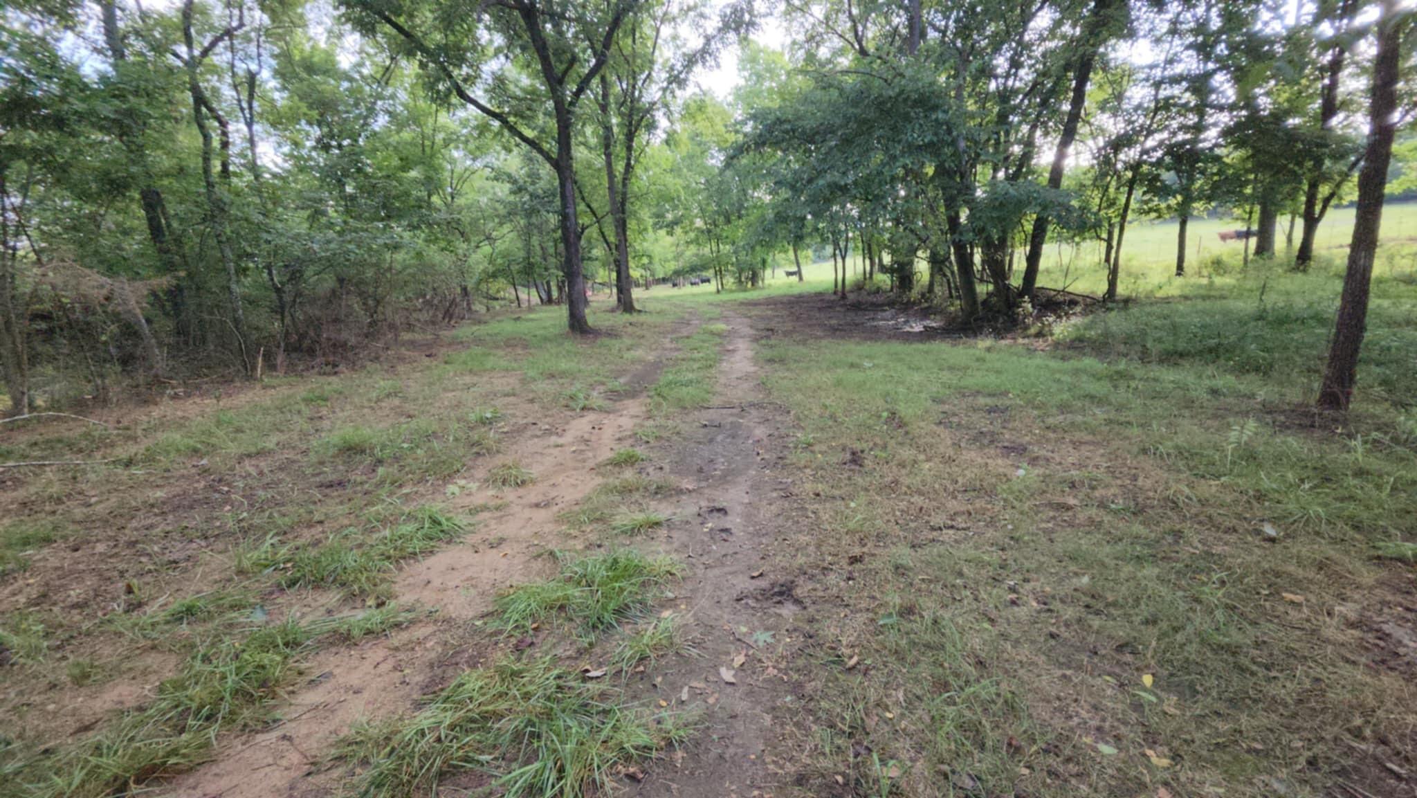 9551 C-highway Ff Property Photo 59