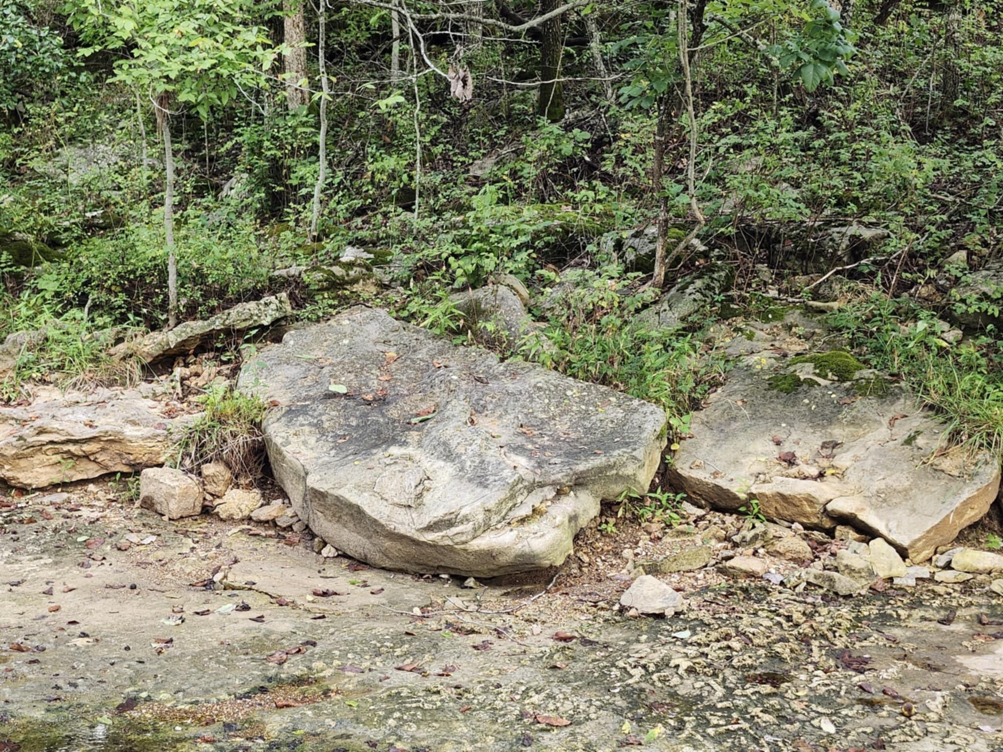 9551 C-highway Ff Property Photo 61
