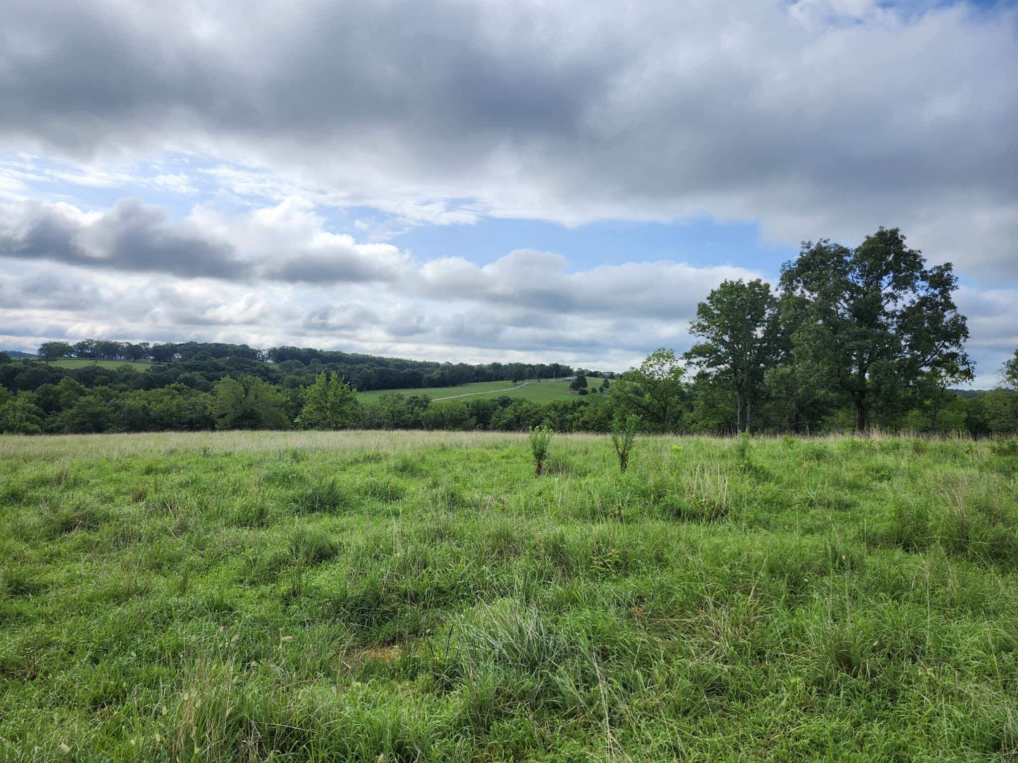 9551 C-highway Ff Property Photo 63
