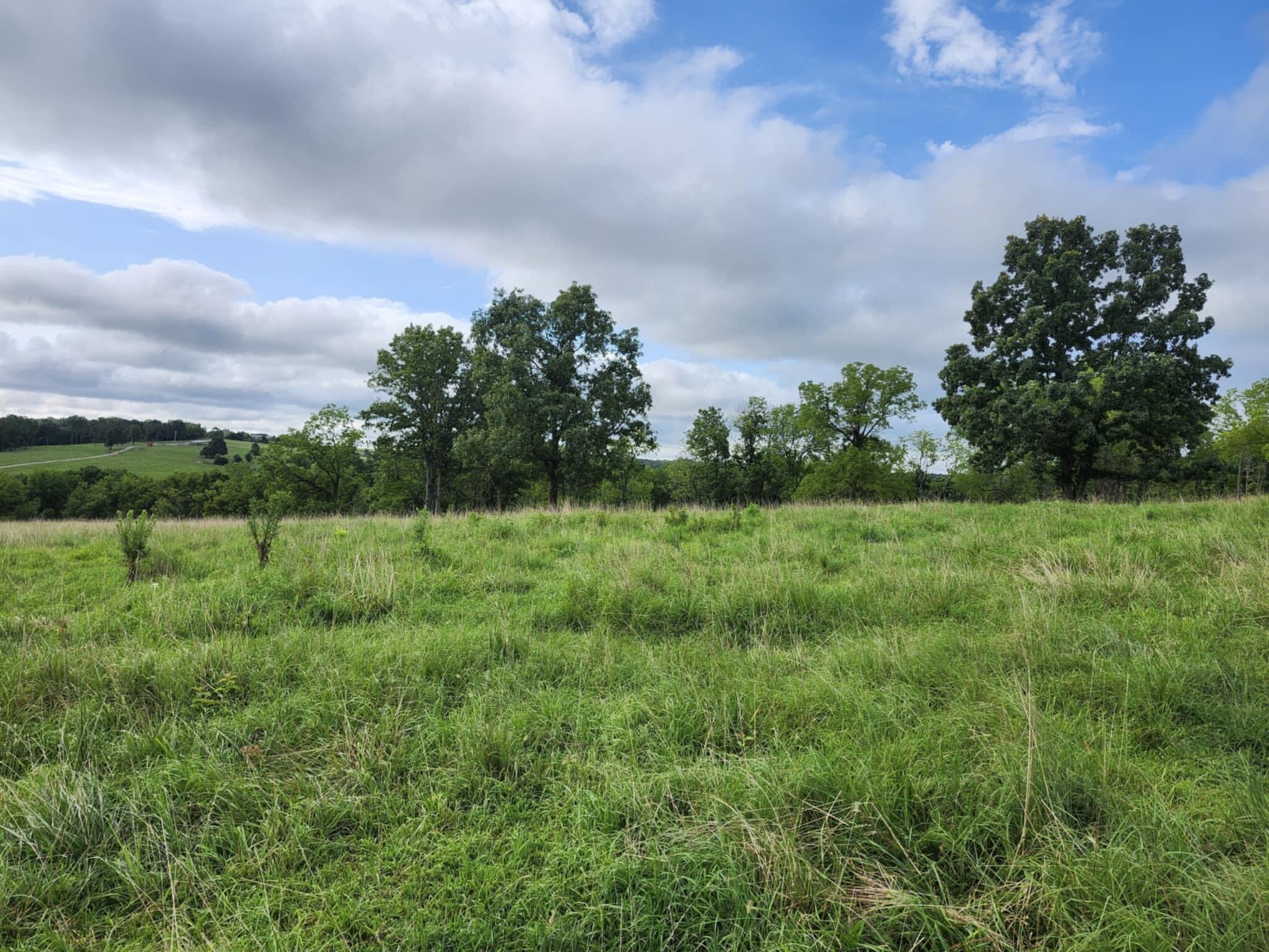 9551 C-highway Ff Property Photo 67