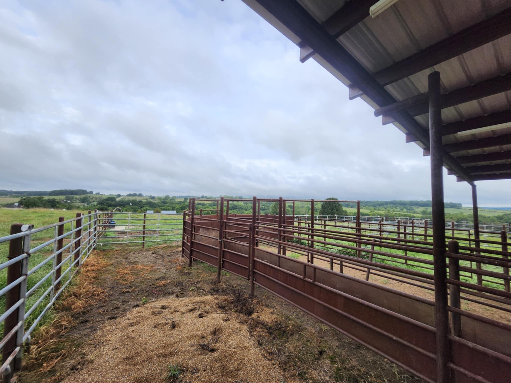 9551 C-highway Ff Property Photo 20