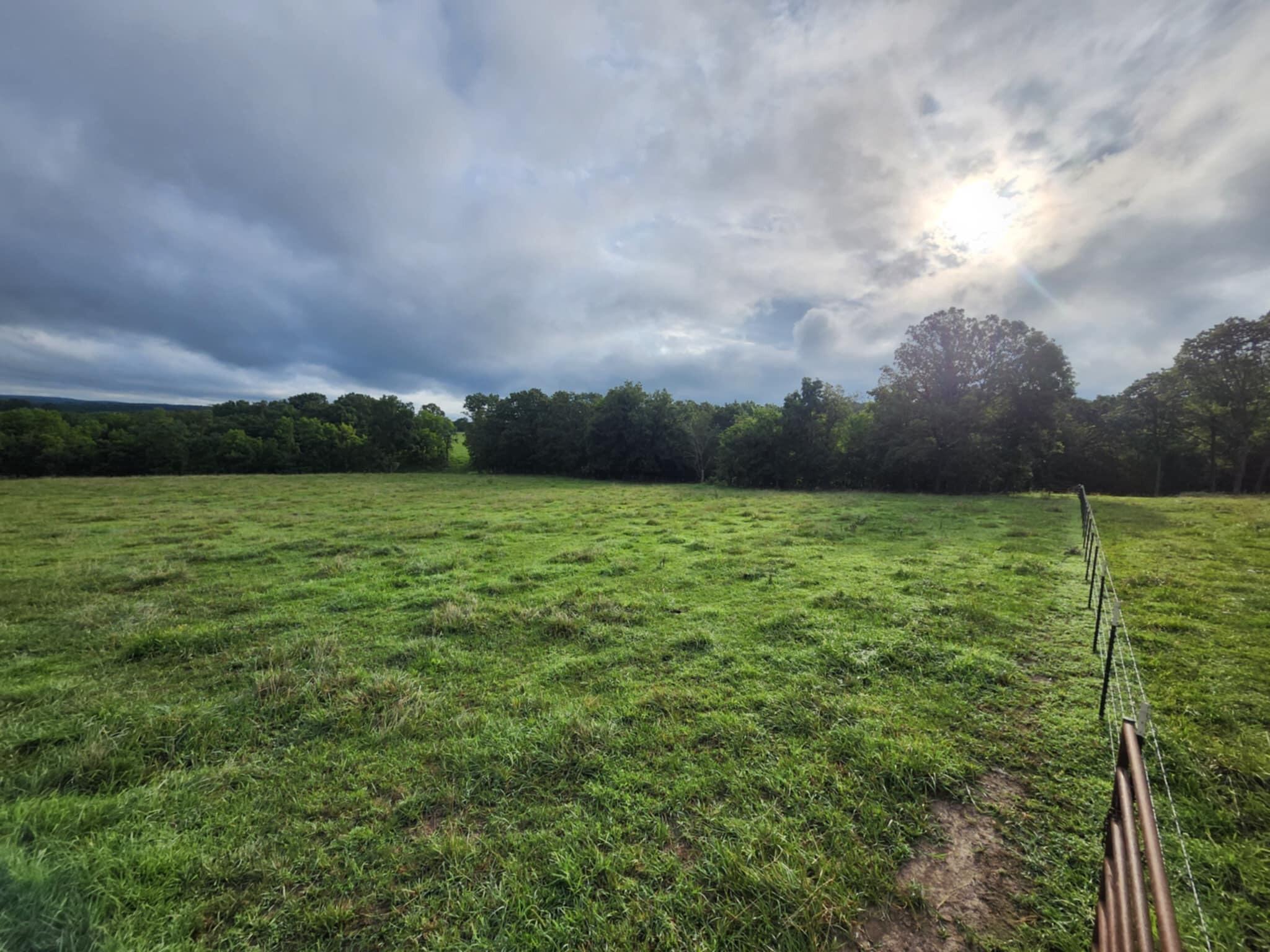 9551 C-highway Ff Property Photo 32