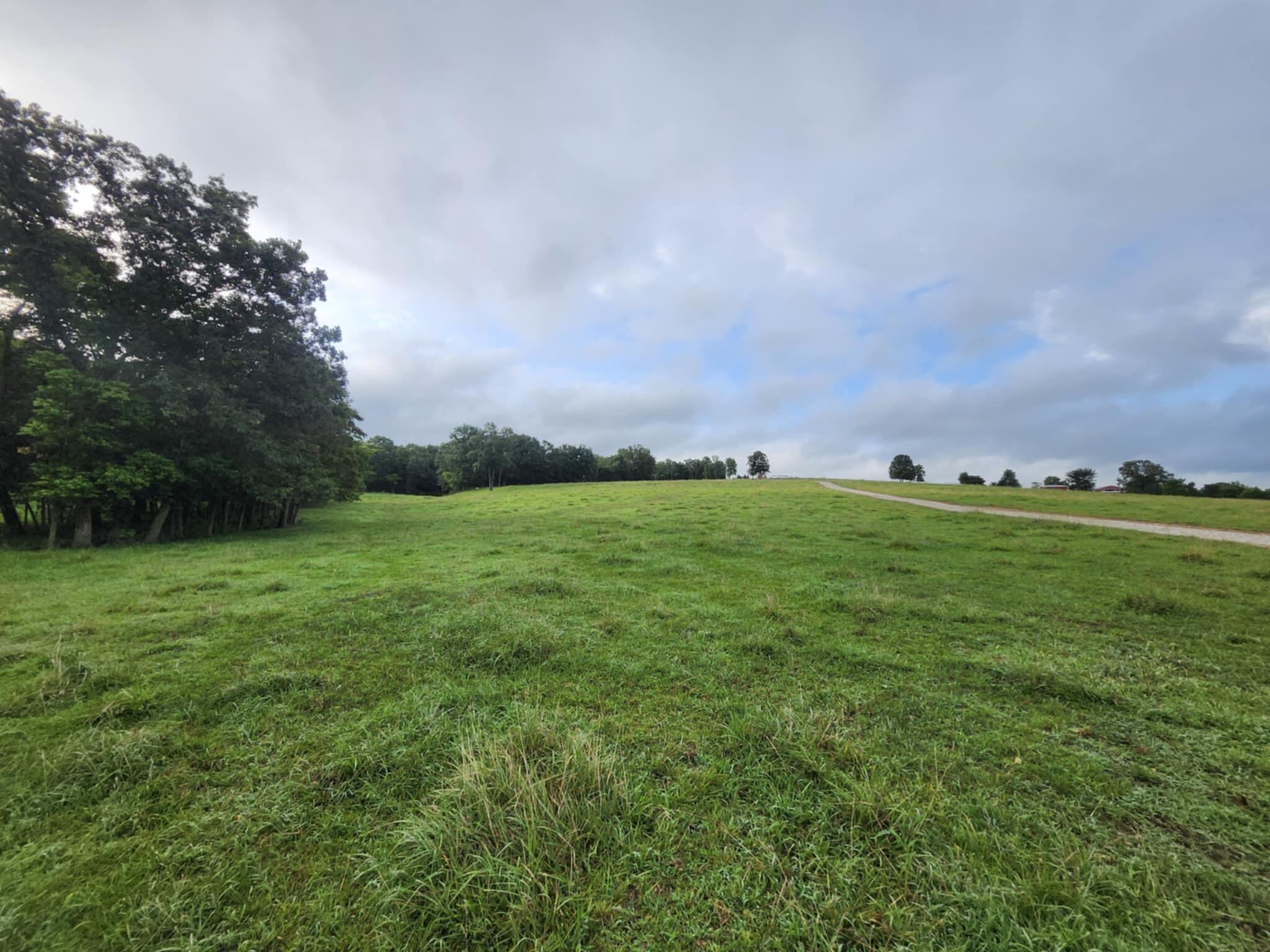 9551 C-highway Ff Property Photo 39