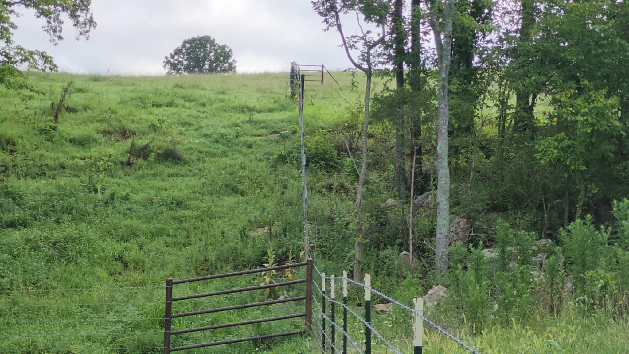 9551 C-highway Ff Property Photo 41