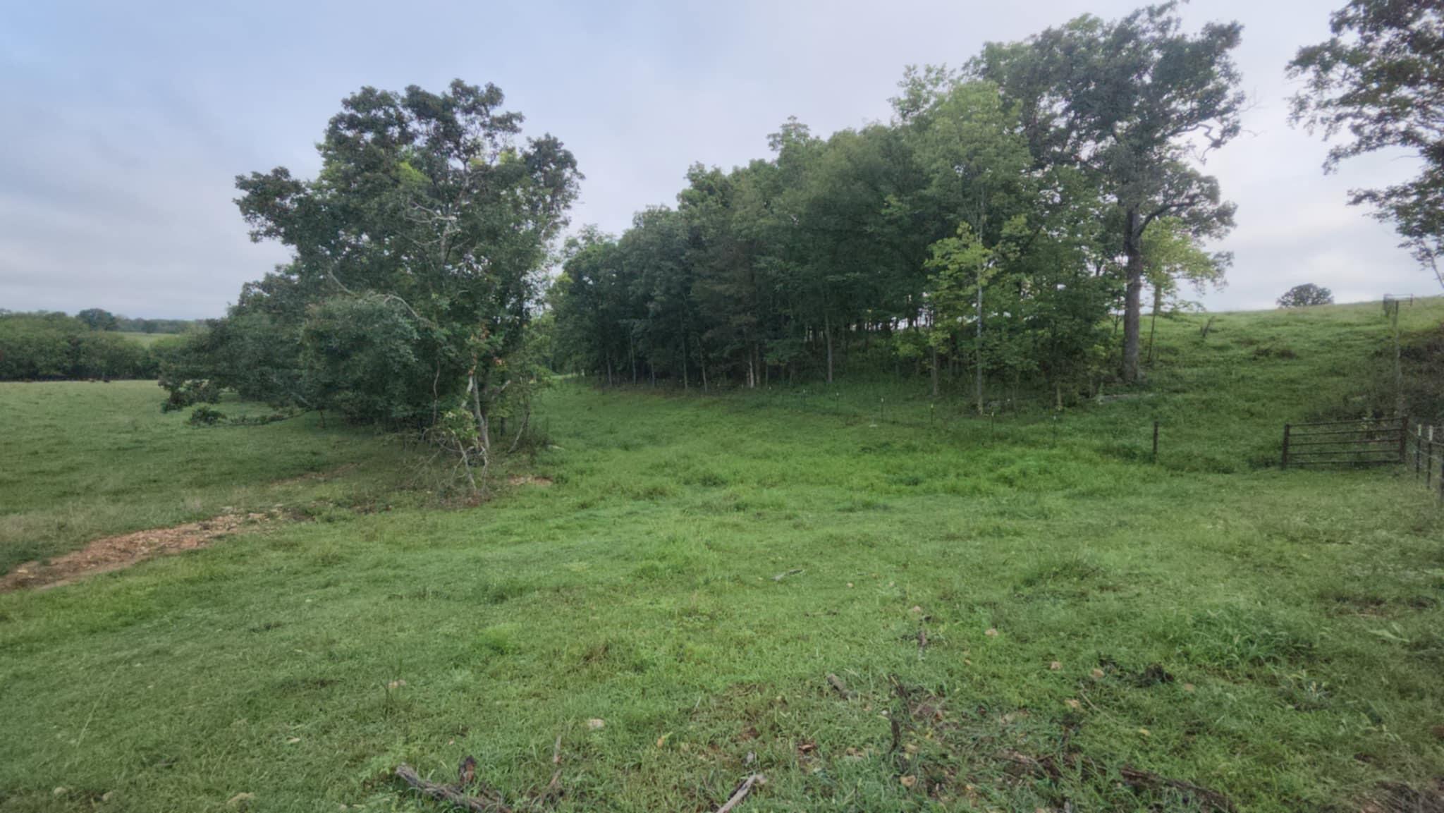 9551 C-highway Ff Property Photo 42