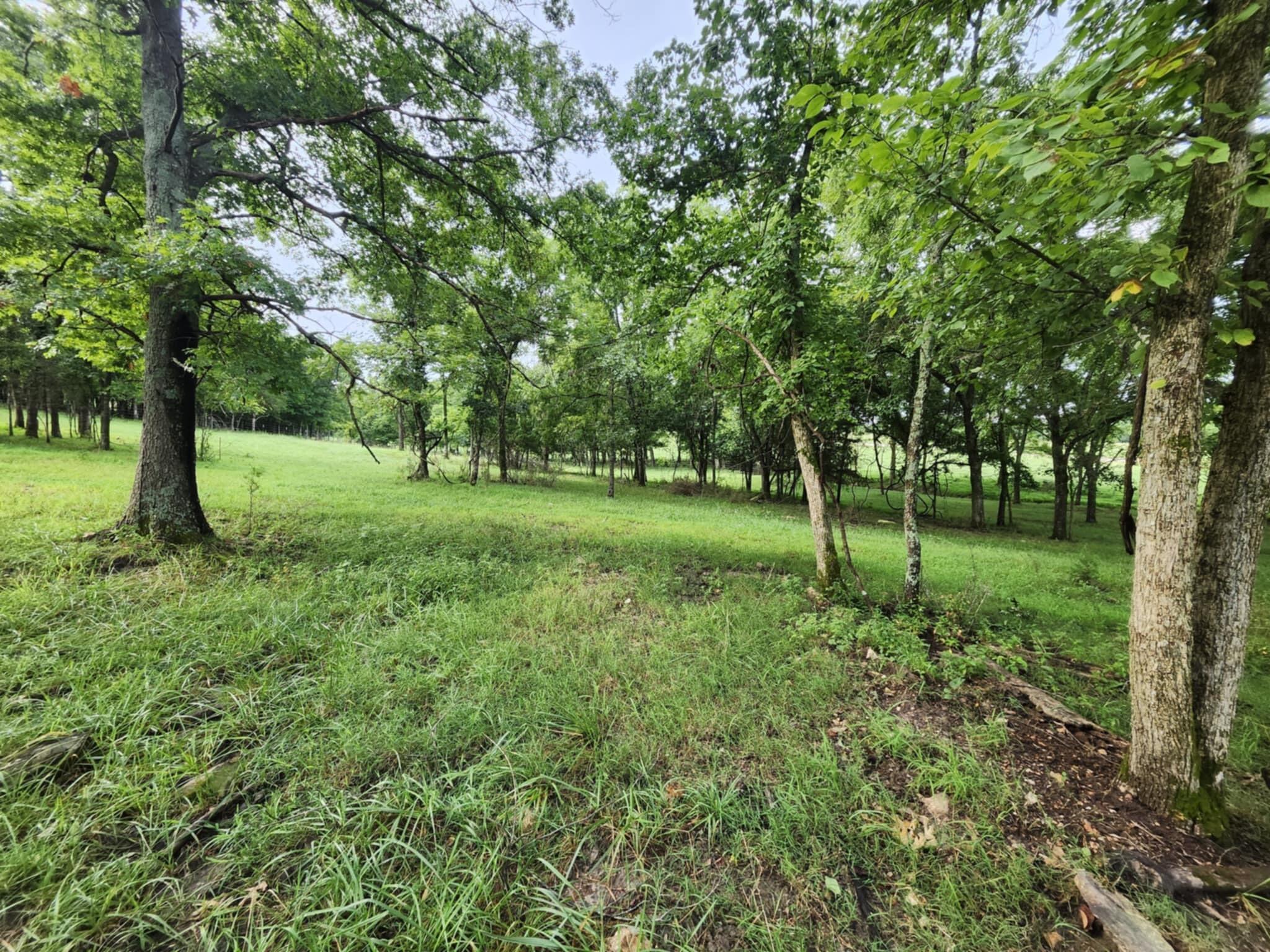 9551 C-highway Ff Property Photo 43