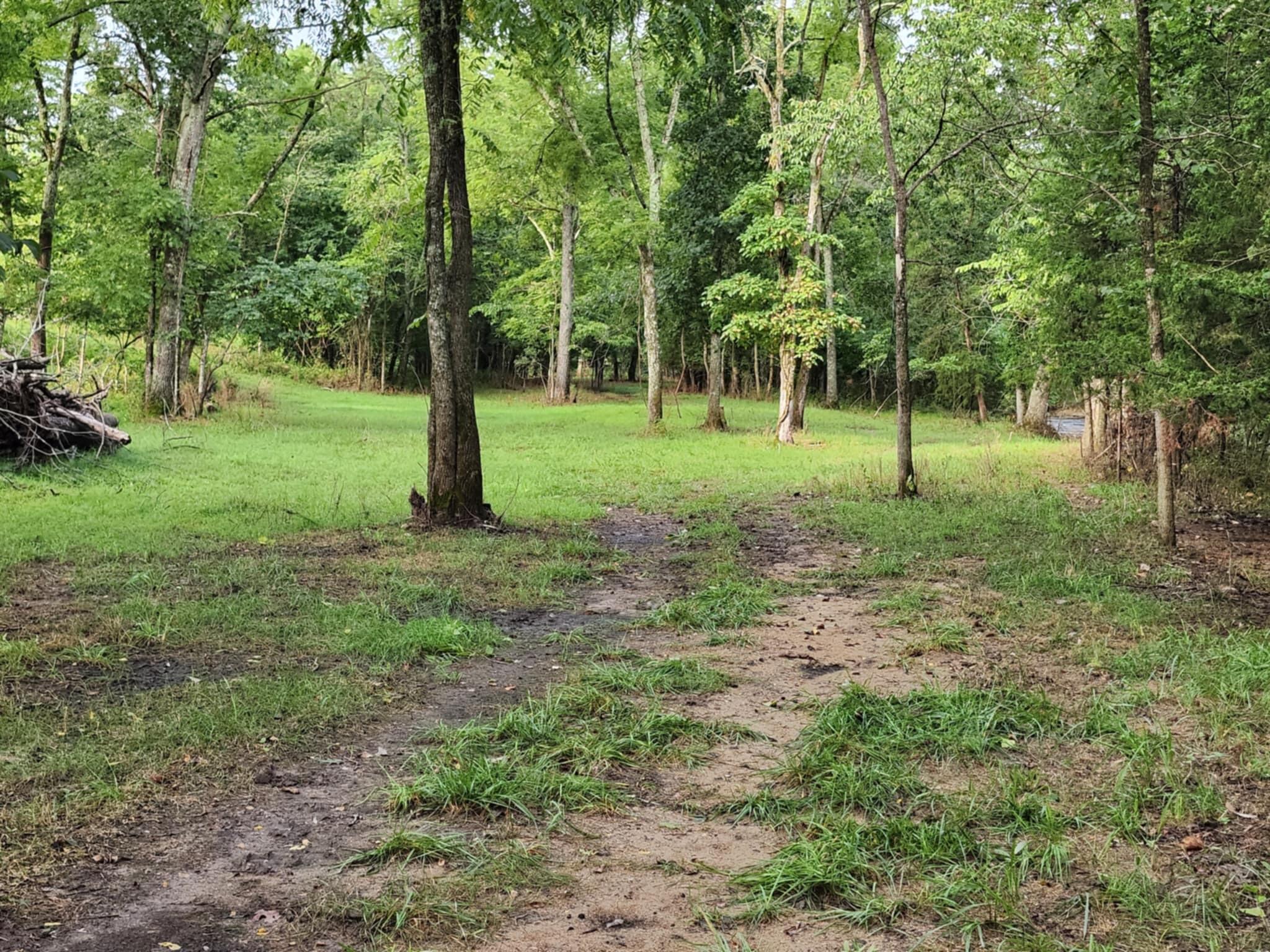 9551 C-highway Ff Property Photo 54
