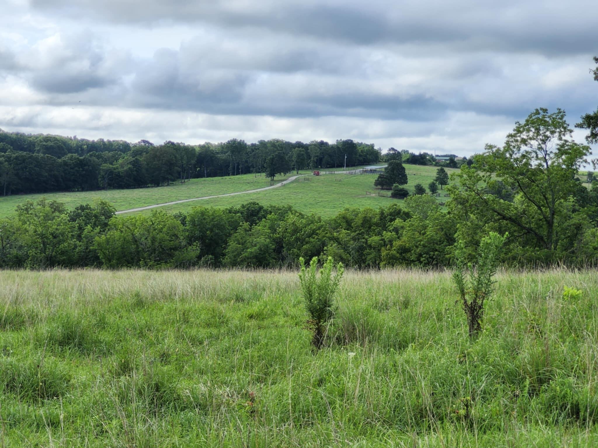 9551 C-highway Ff Property Photo 64