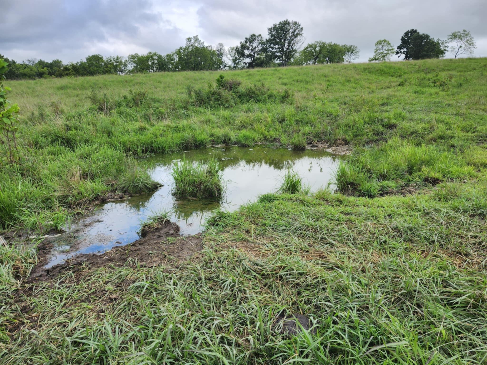 9551 C-highway Ff Property Photo 68