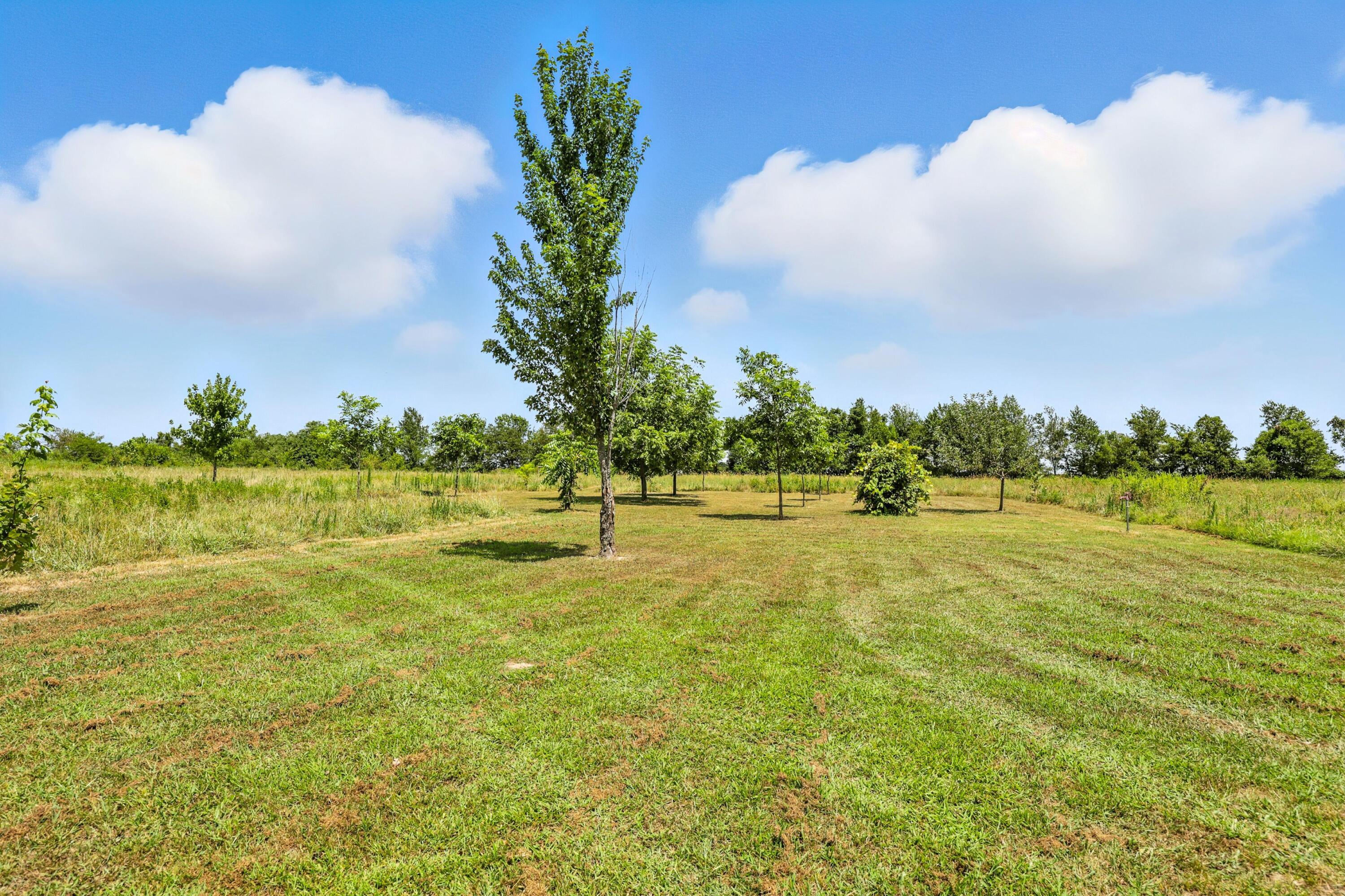 21078 Colt Lane Property Photo 58
