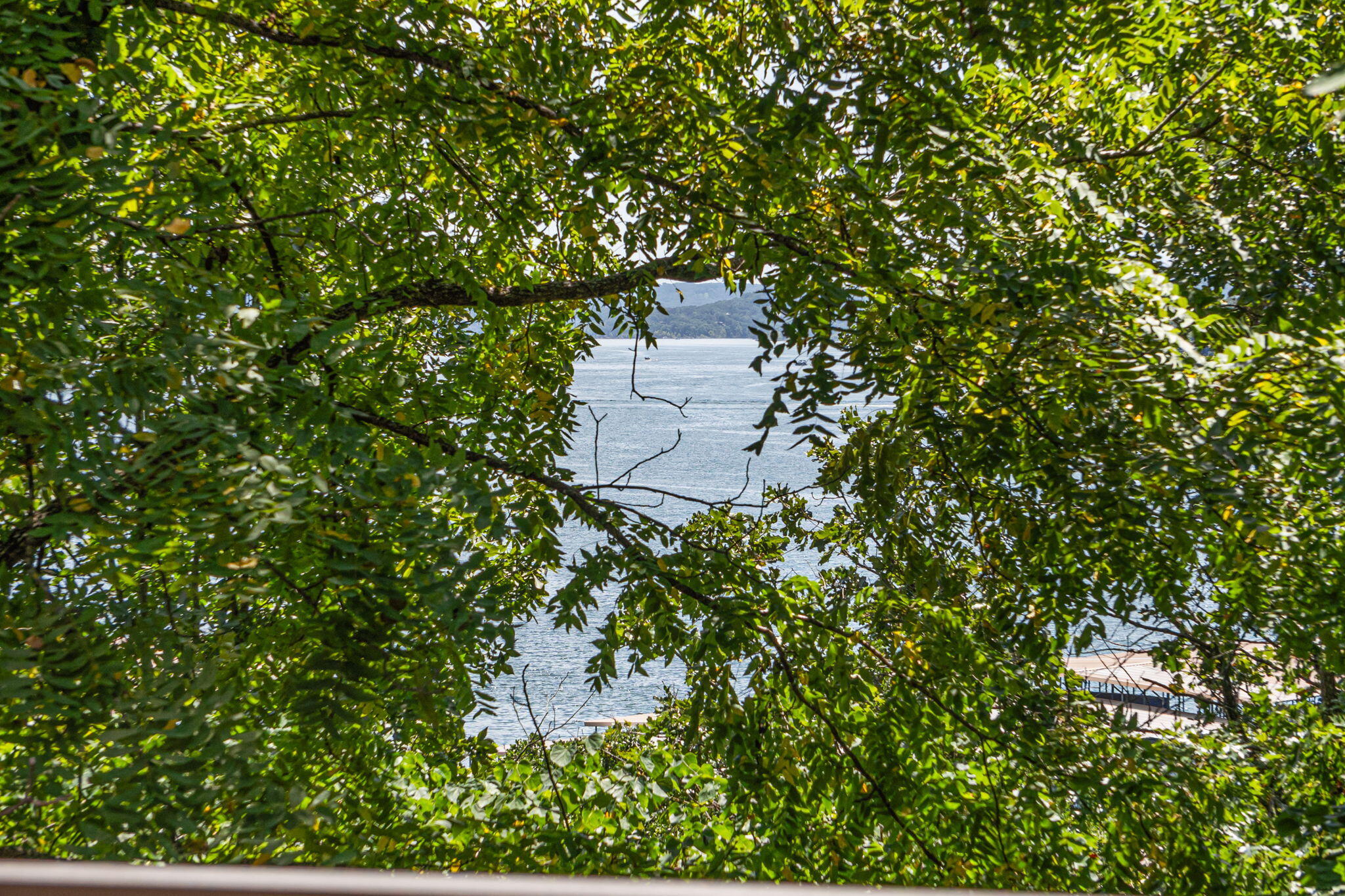 234 Sunset Cove Property Photo 16