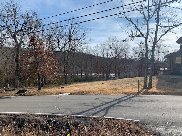 Lot 1 Cedar Landing Subdivision Property Photo 3