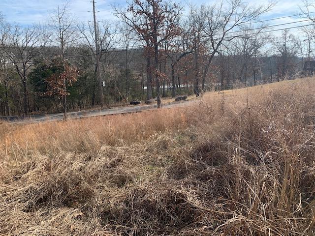 Lot 1 Cedar Landing Subdivision Property Photo 4