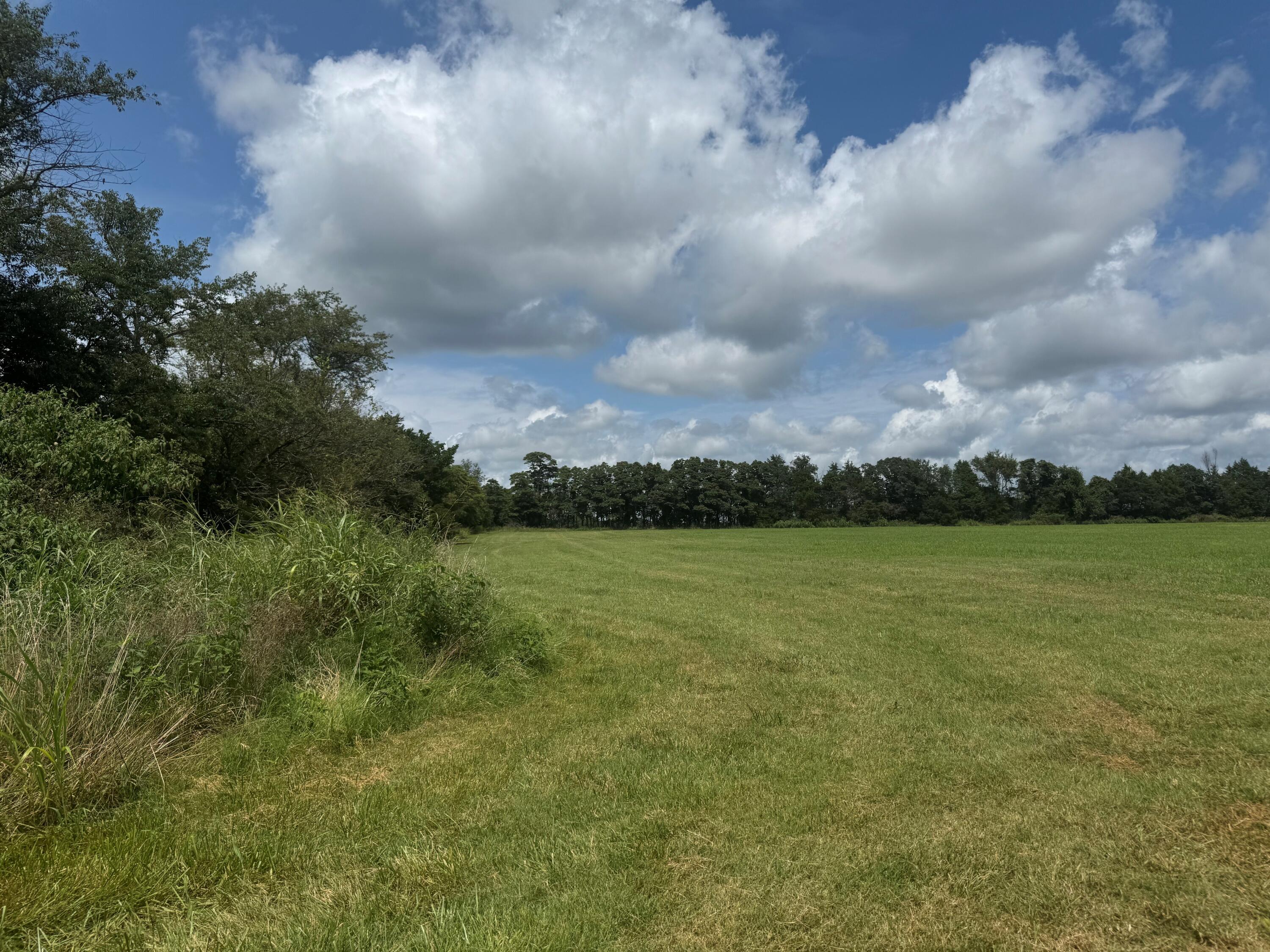 32673 State Highway 112