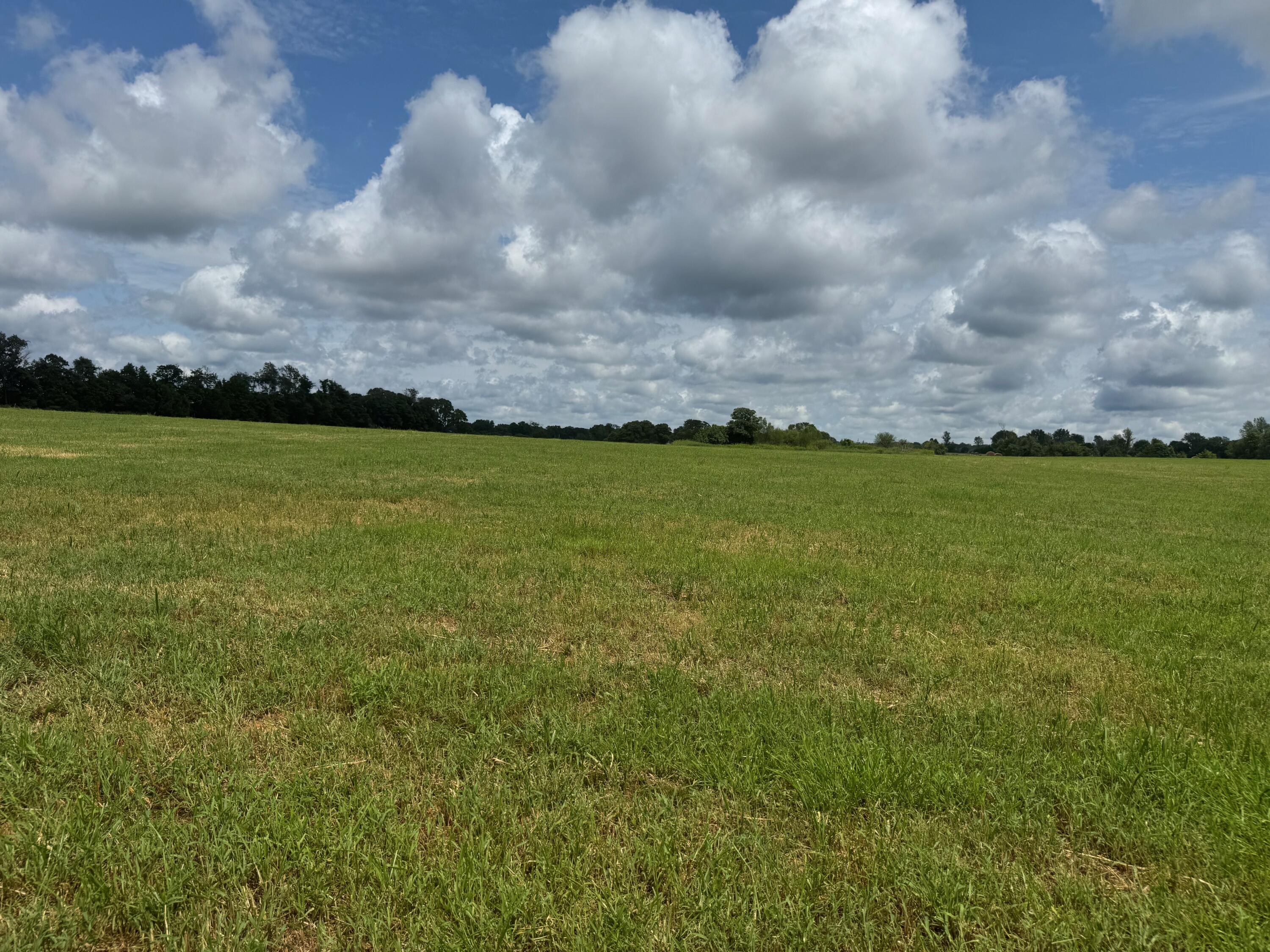 32673 State Highway 112 Property Photo 3