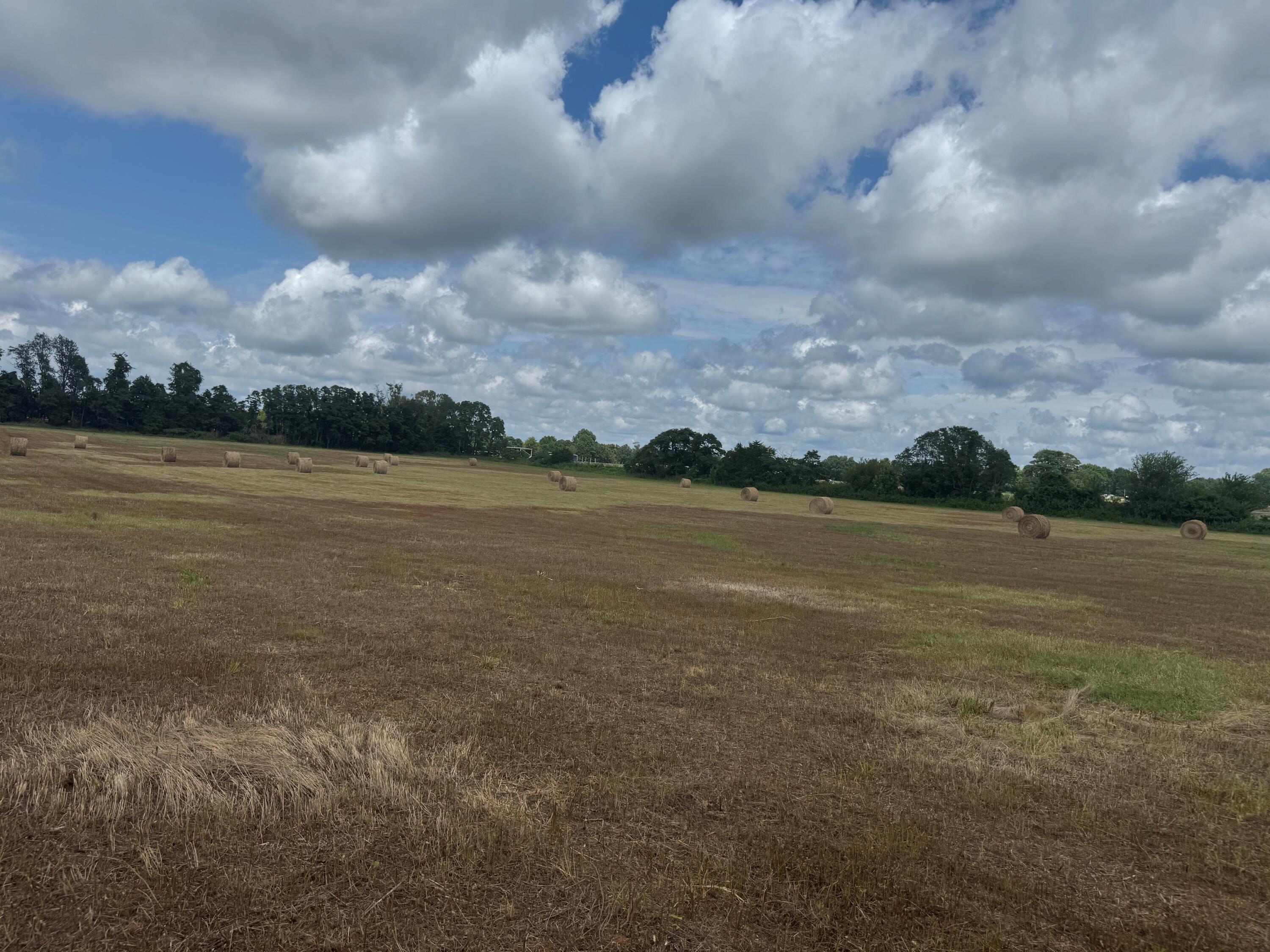 32673 State Highway 112 Property Photo 11