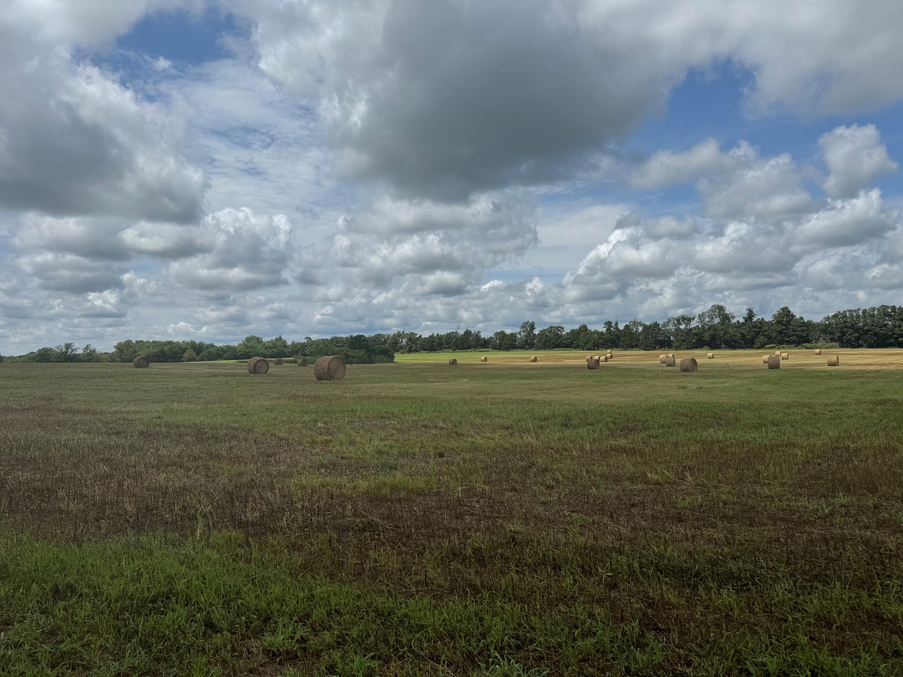 32673 State Highway 112 Property Photo 13