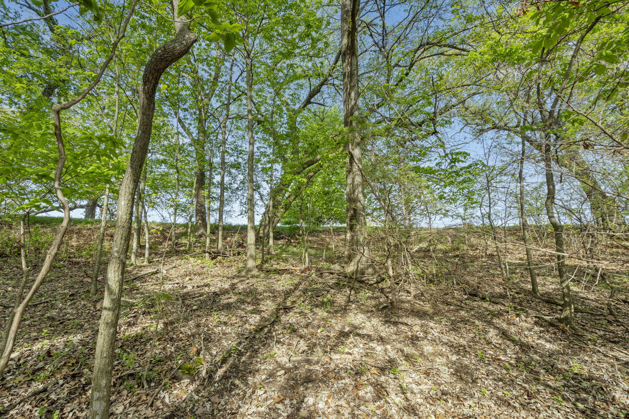 Lot 2 Cambridge Drive Property Photo 7