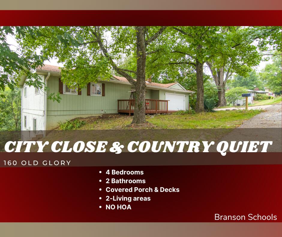 160 Old Glory Road Property Photo 1