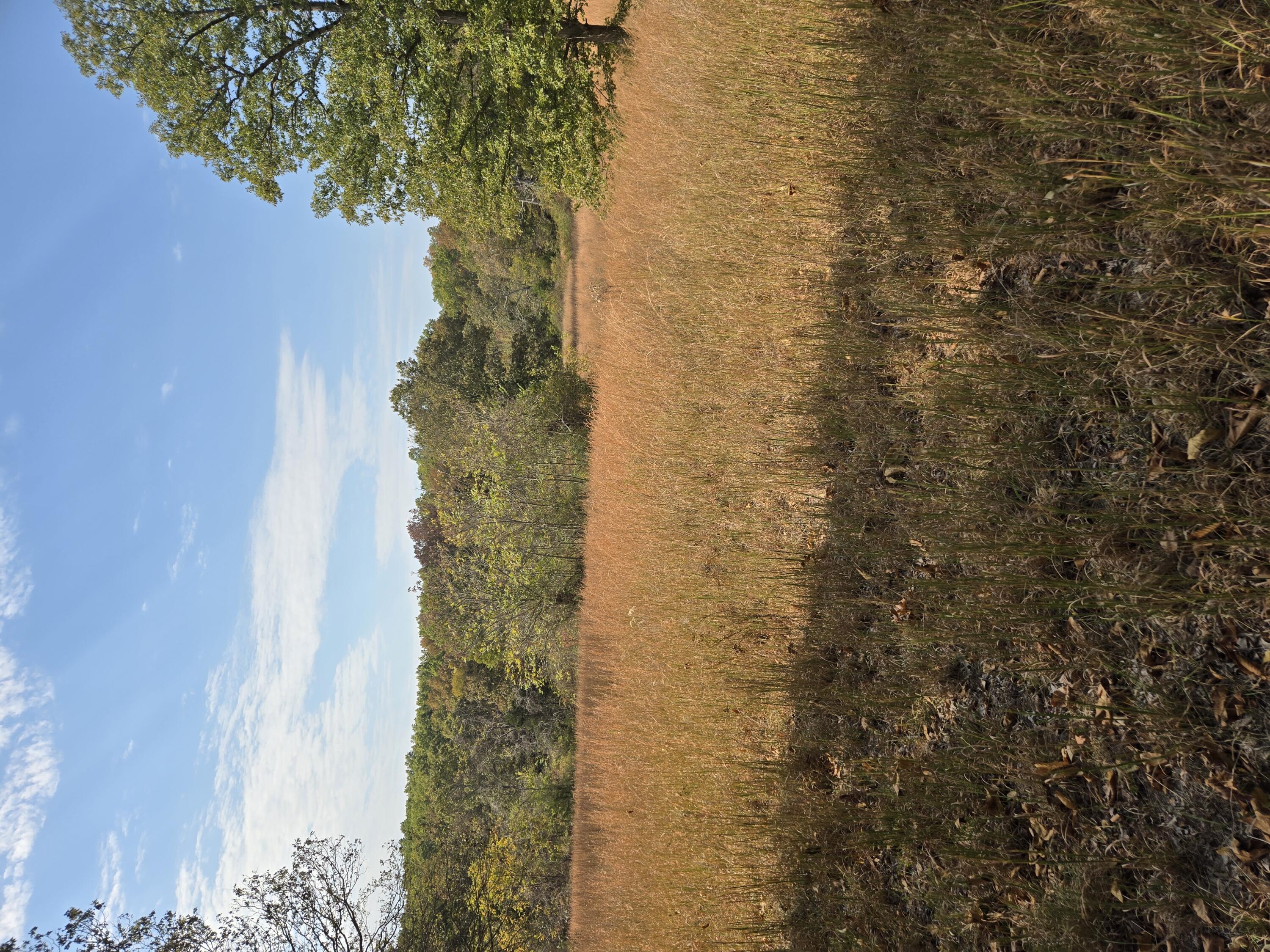 Lot 10 Arden Ridge Property Photo 1