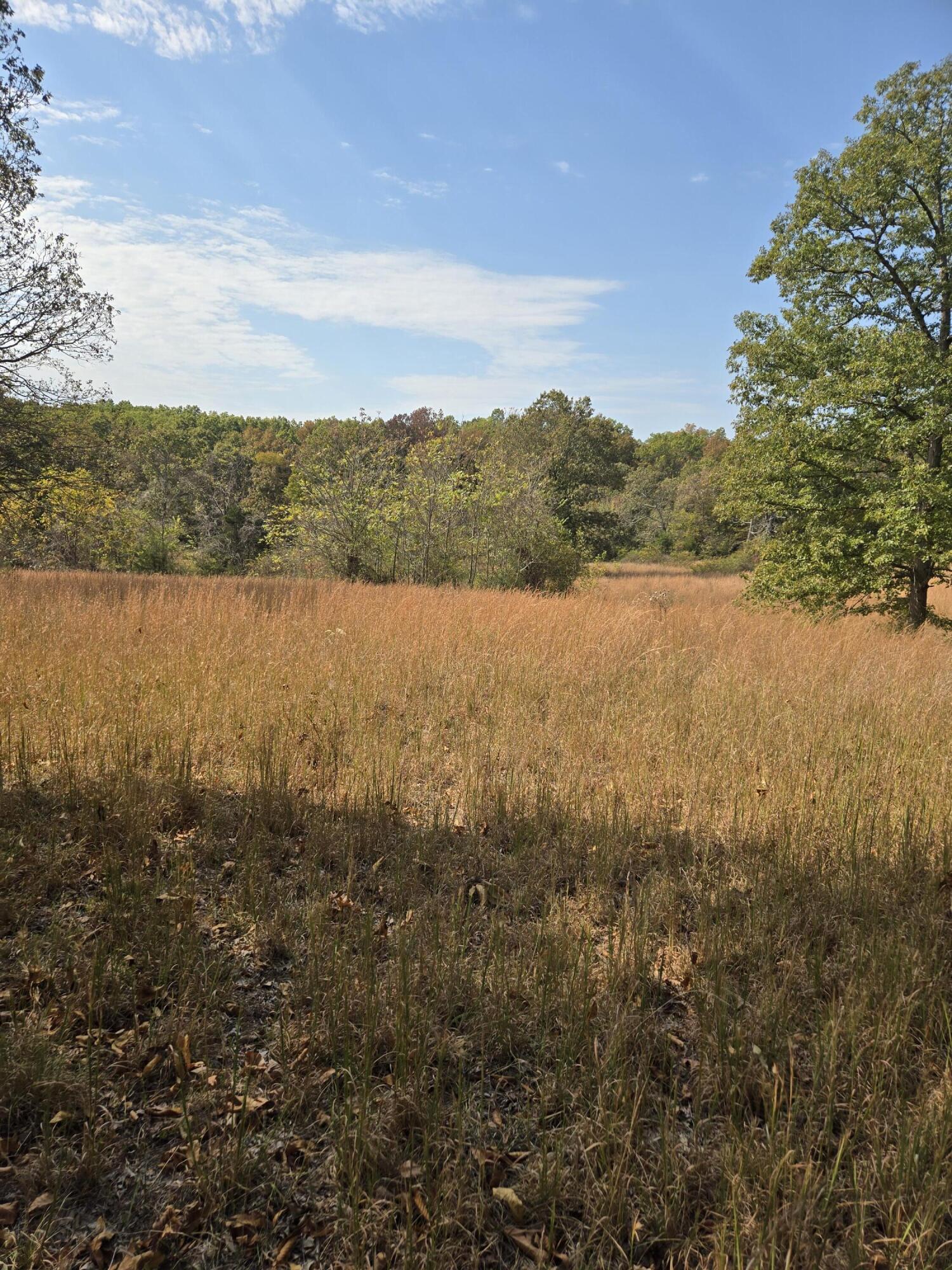 Lot 17 Arden Ridge Property Photo 1
