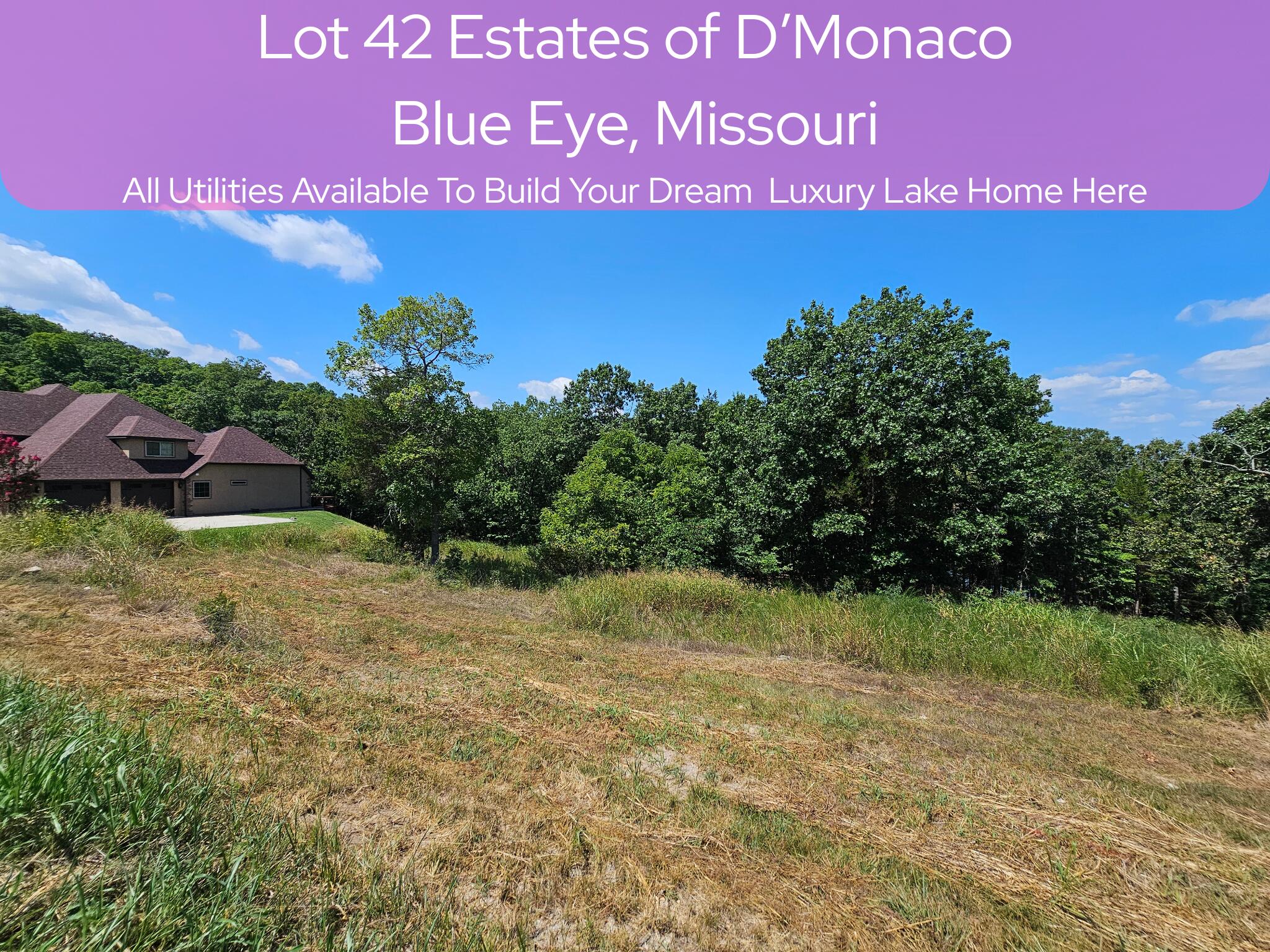 Lot 42 Valencia Court Property Photo 1