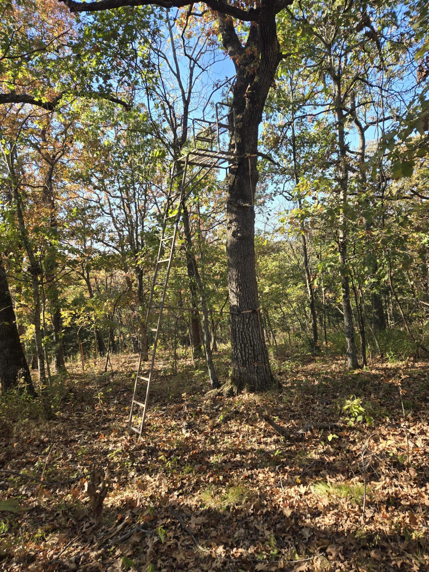 160 Lot Arden Ridge Hwy O Property Photo 1