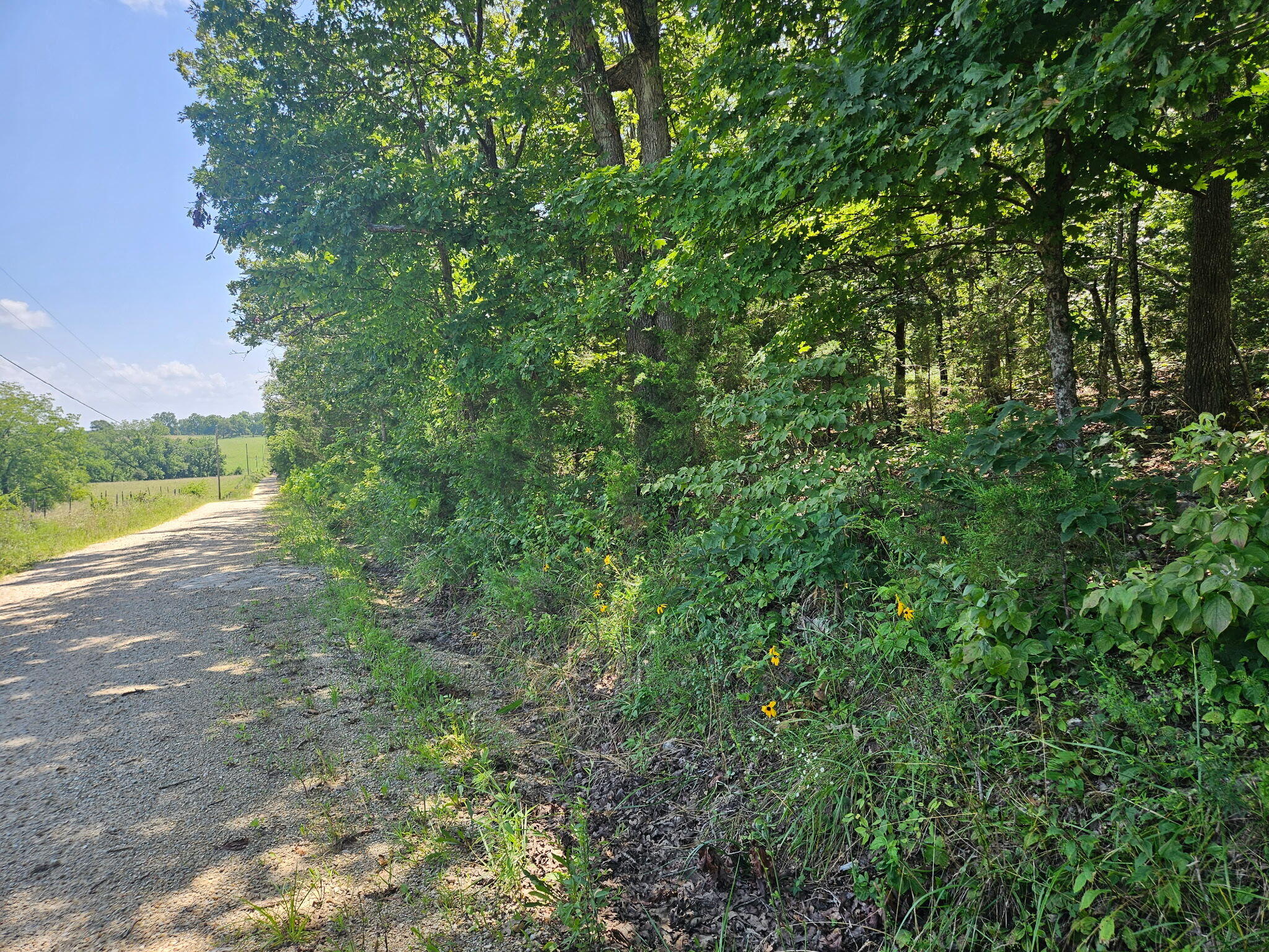 000 Mount Olive Road Property Photo 1