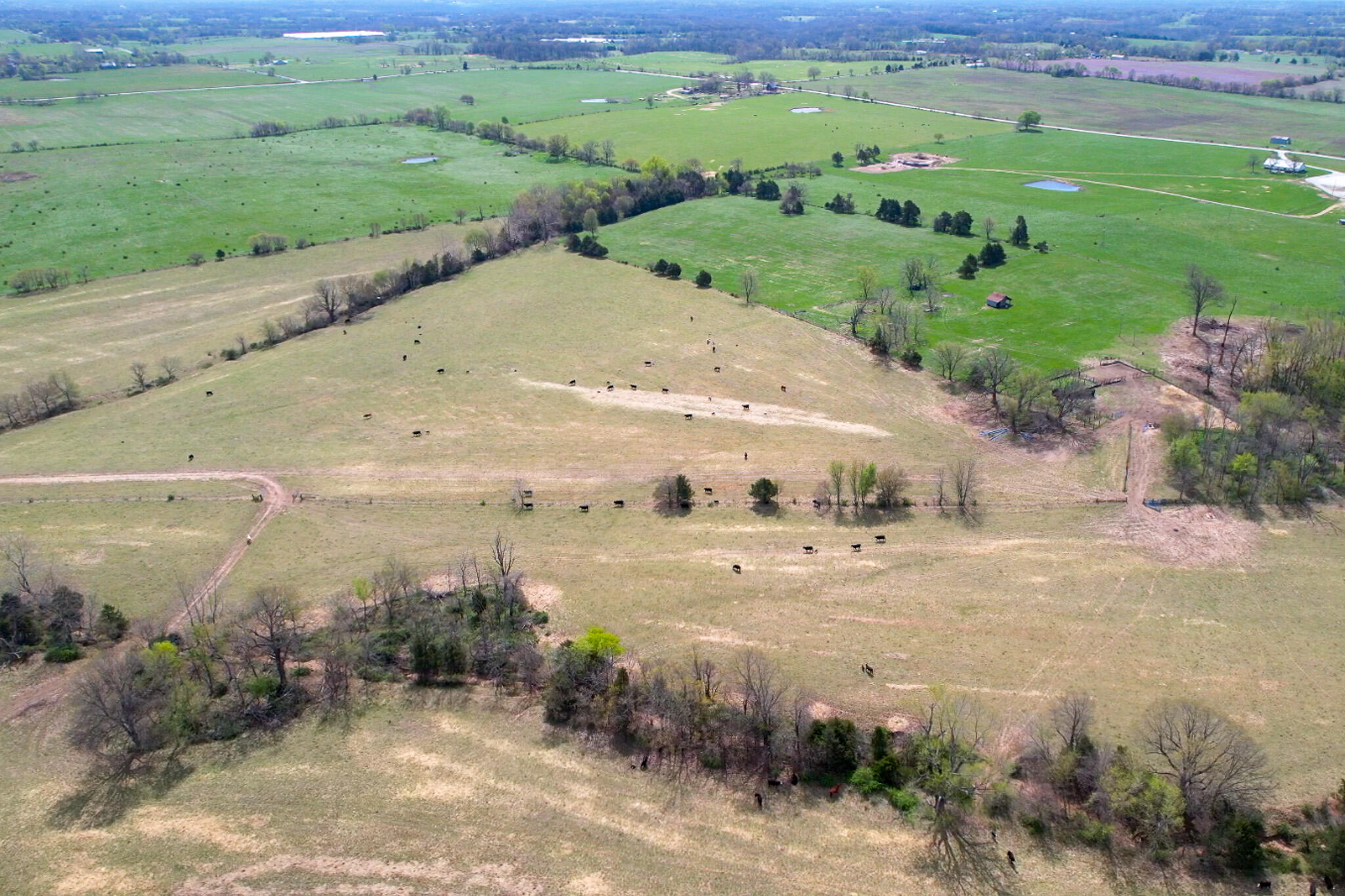 0 Farm Road 2040 Property Photo 1