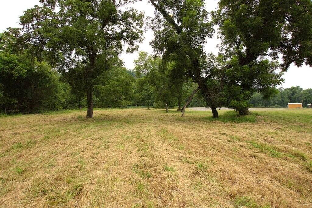 4.19 Acres Younkers Lane Property Photo 30