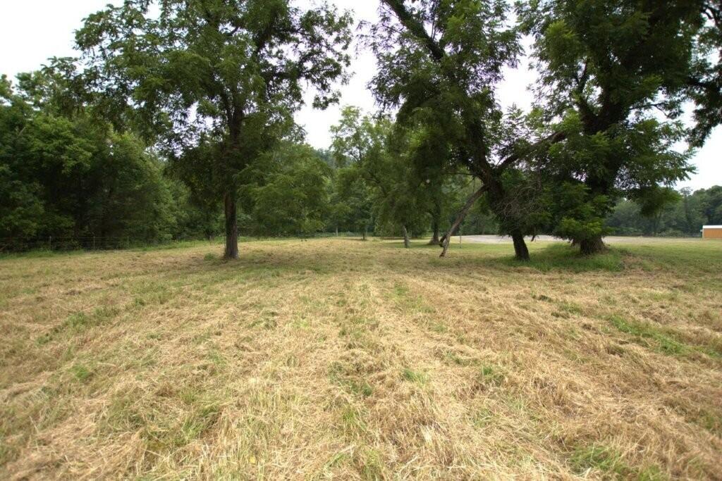 4.19 Acres Younkers Lane Property Photo 31