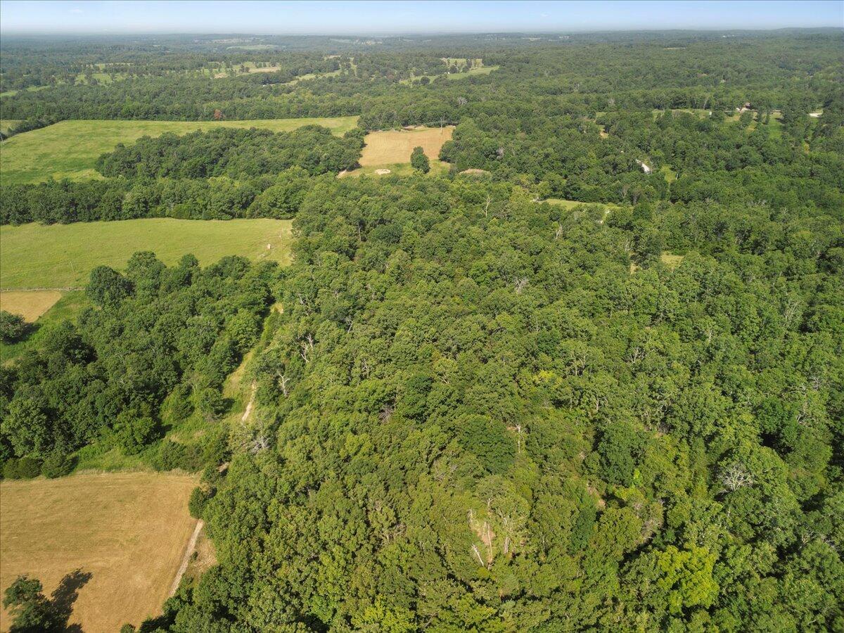 000 State Route Oo Property Photo 10