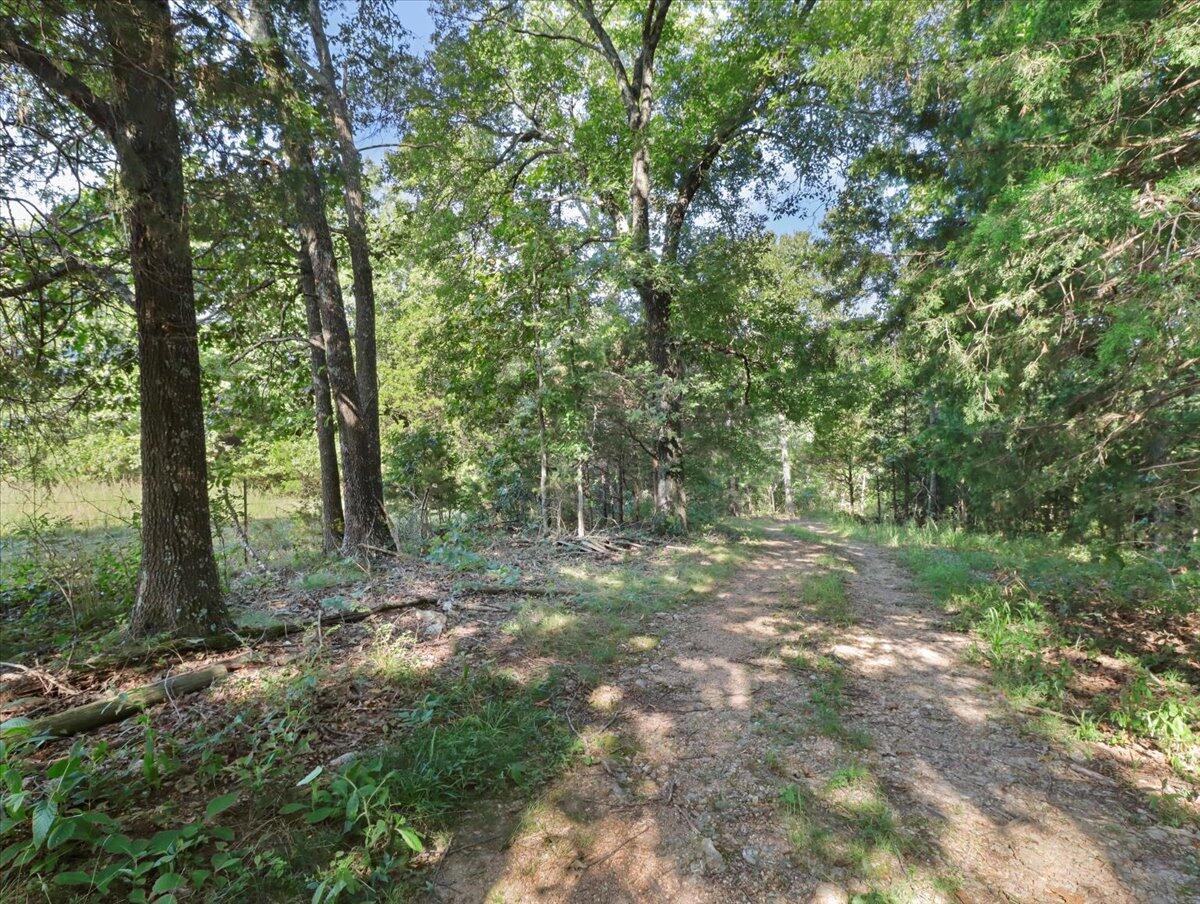 000 State Route Oo Property Photo 16