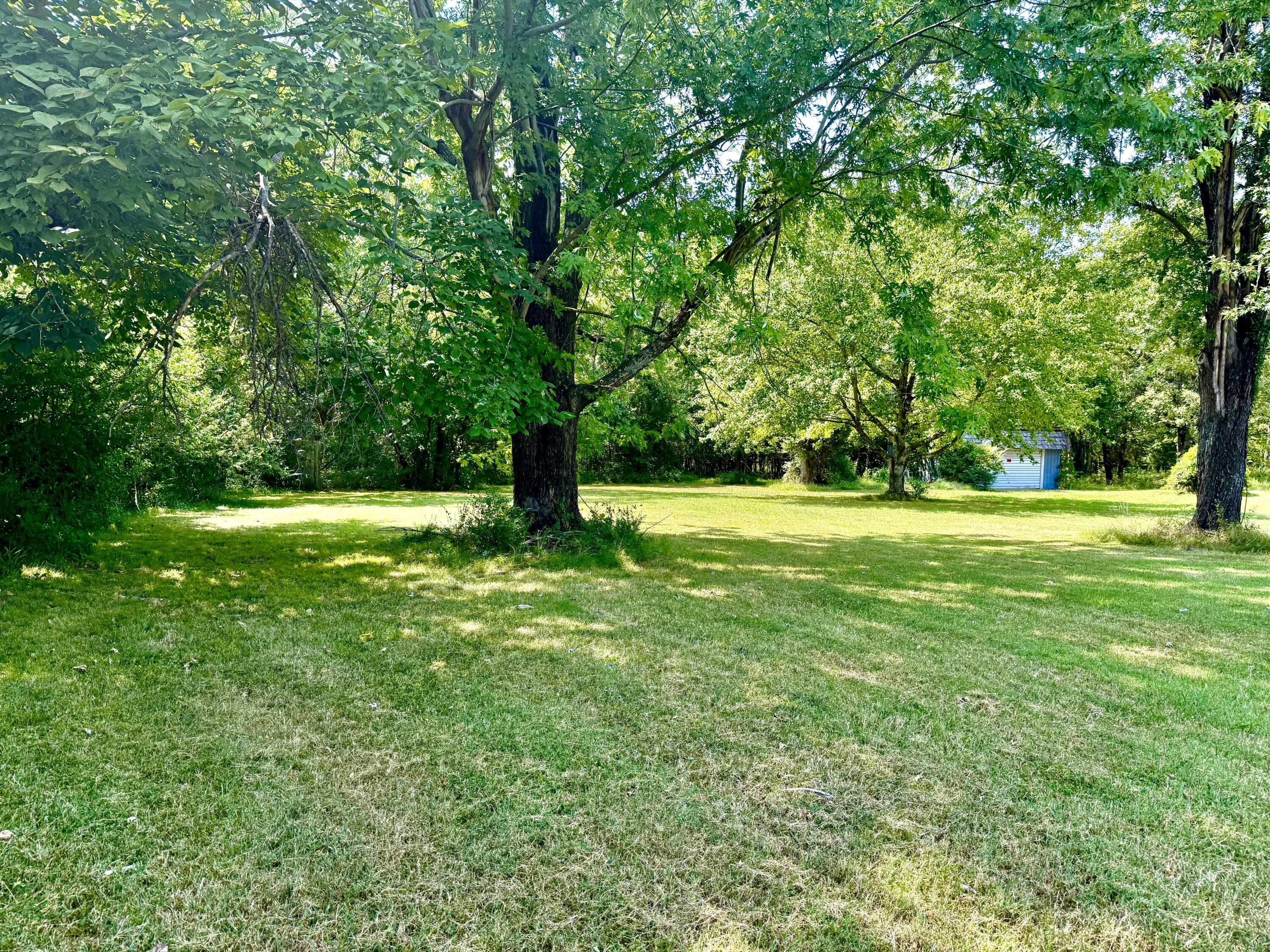 3754 Hwy 5 North Property Photo 6