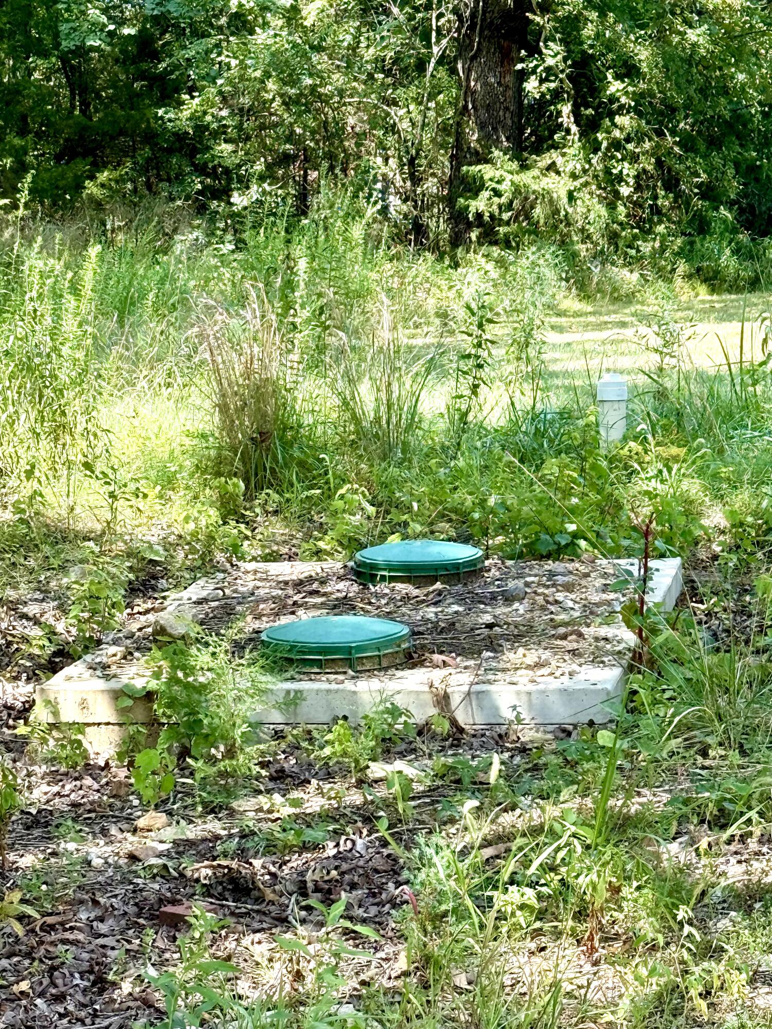 3754 Hwy 5 North Property Photo 9