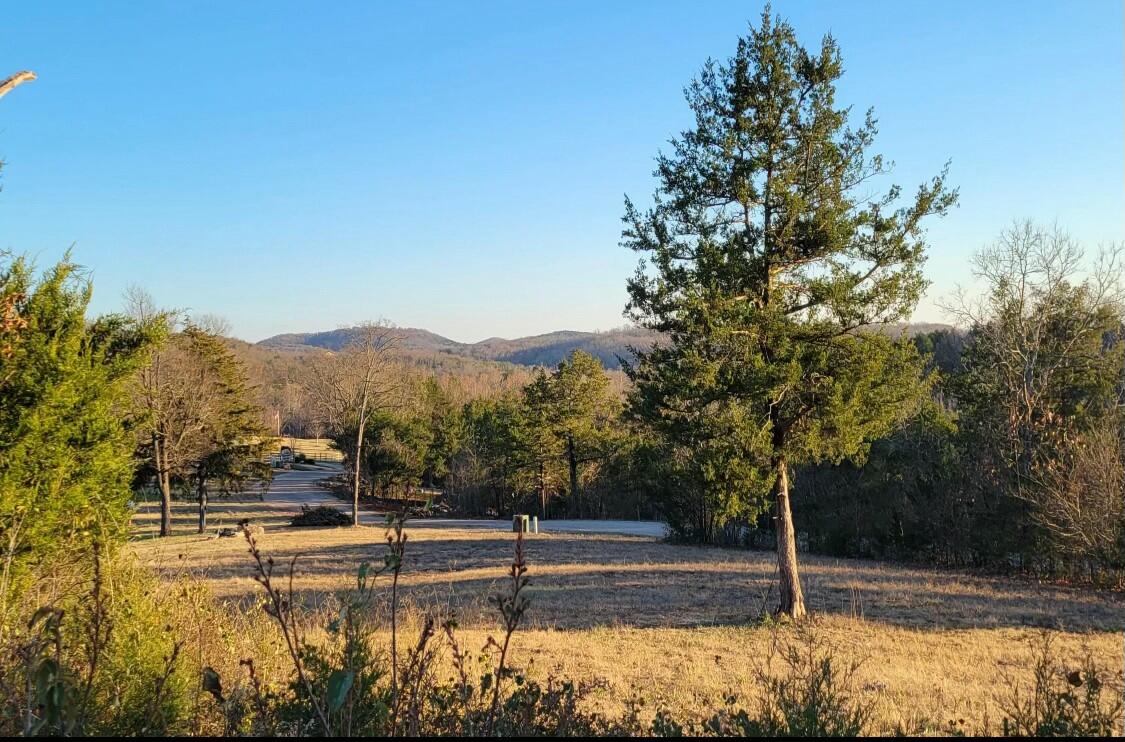 1920 Dry Hollow Road Property Photo 17