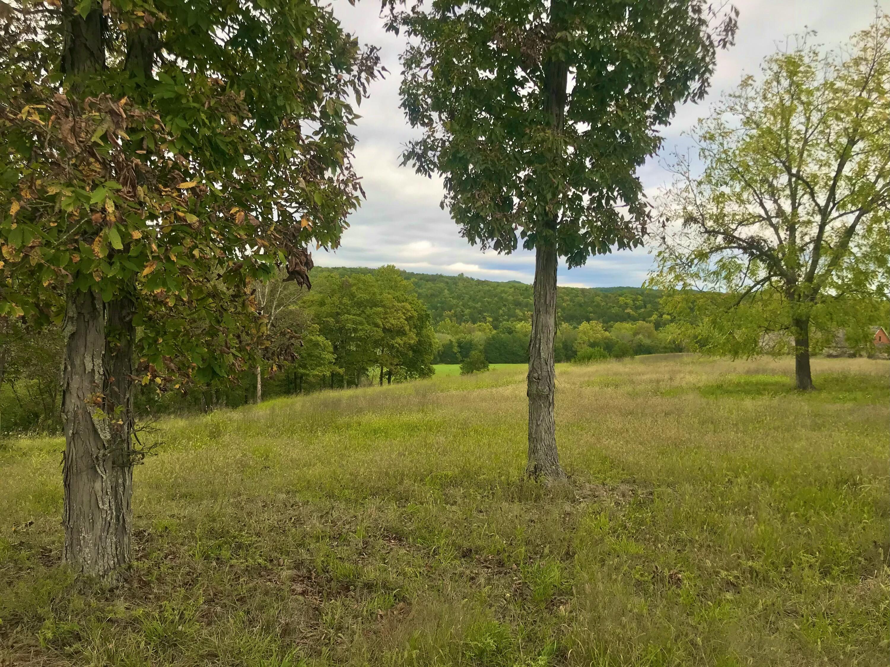 1920 Dry Hollow Road Property Photo 20