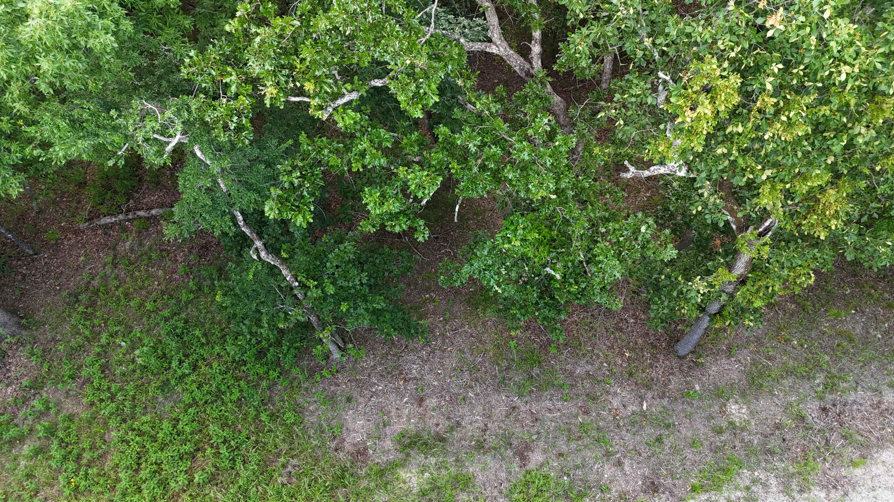 000 Bluebird Dr. Property Photo 1