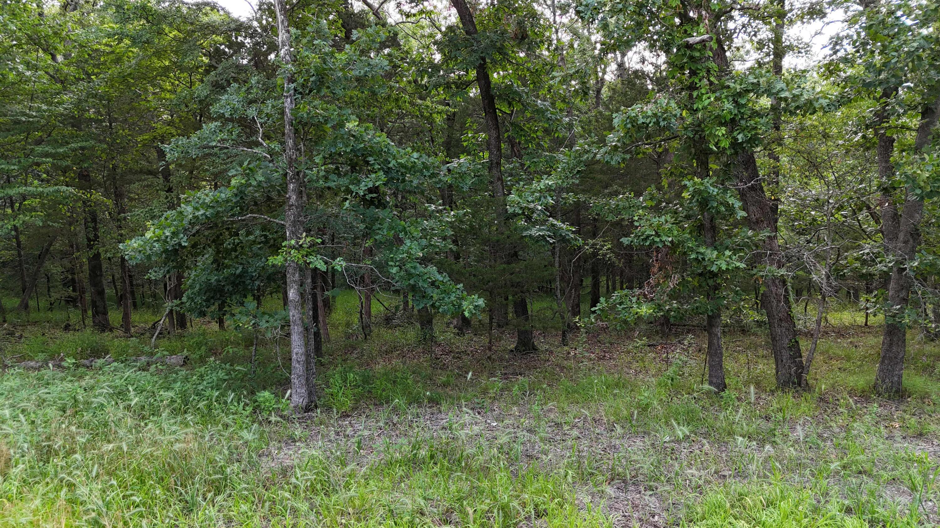 000 Bluebird Dr. Property Photo 2