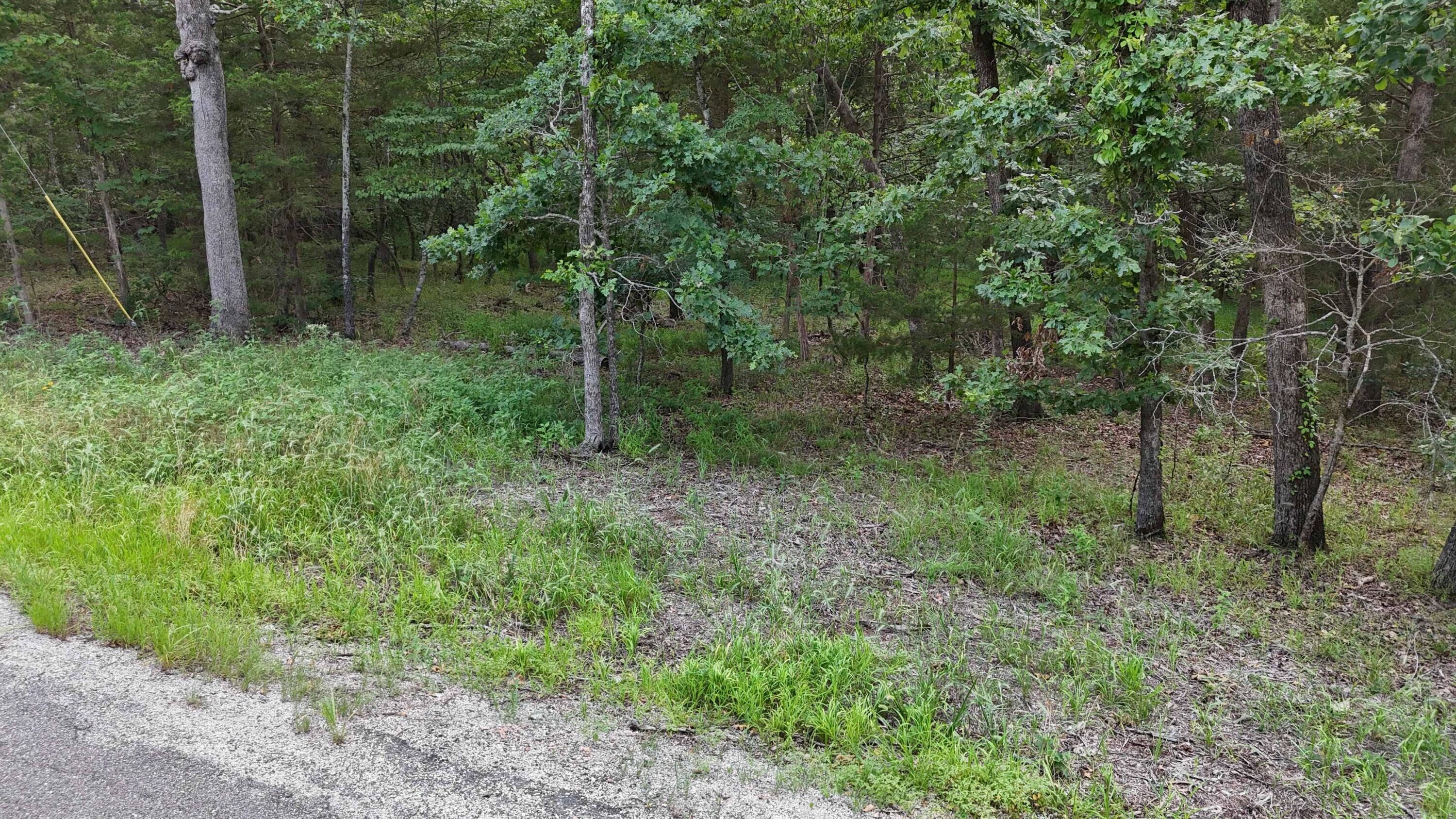 000 Bluebird Dr. Property Photo 6