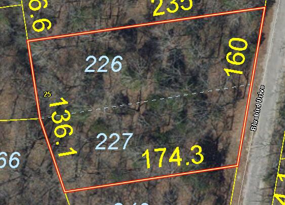 000 Bluebird Dr. Property Photo 12