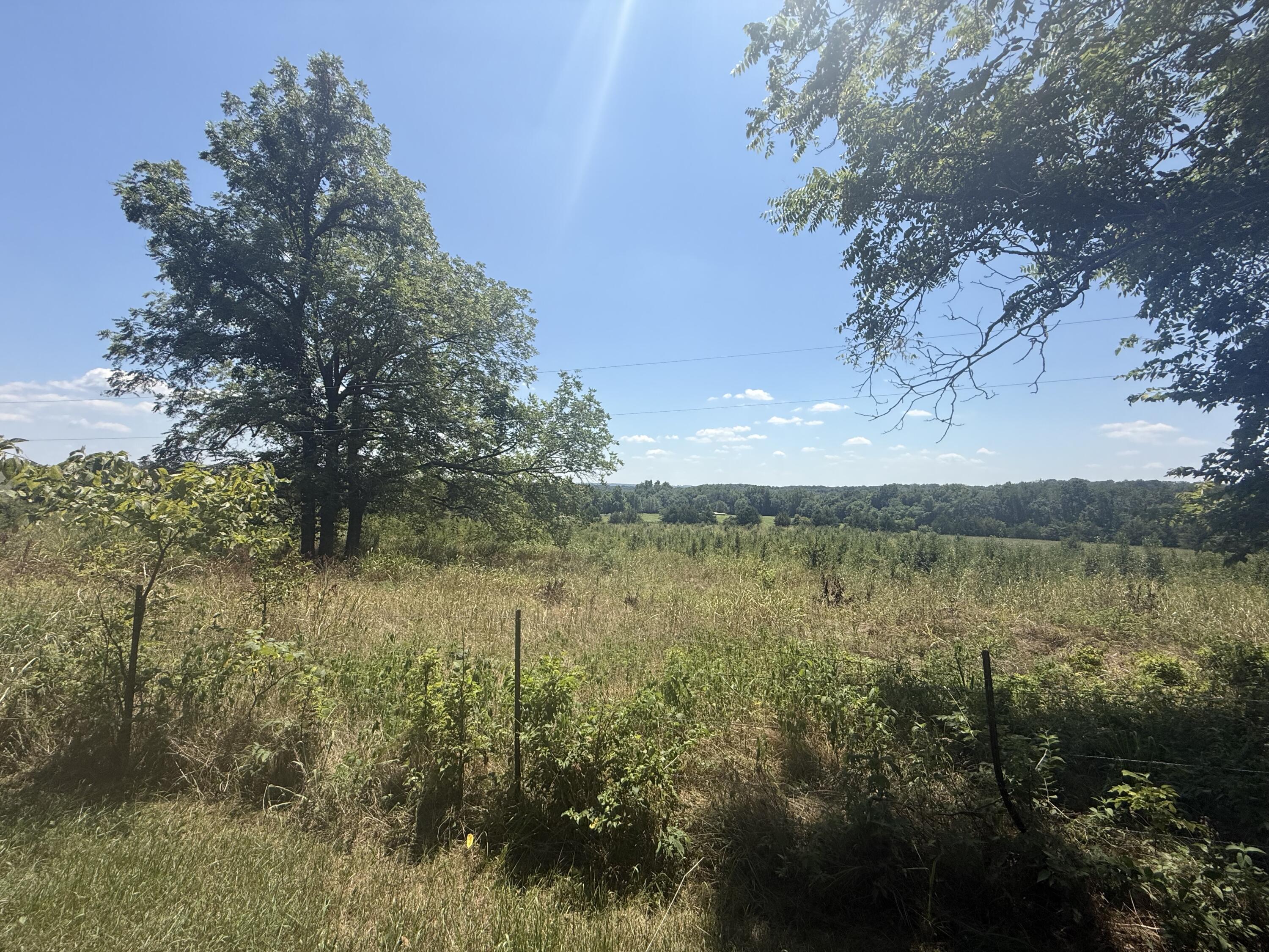 1539 Cypress Road Property Photo 1