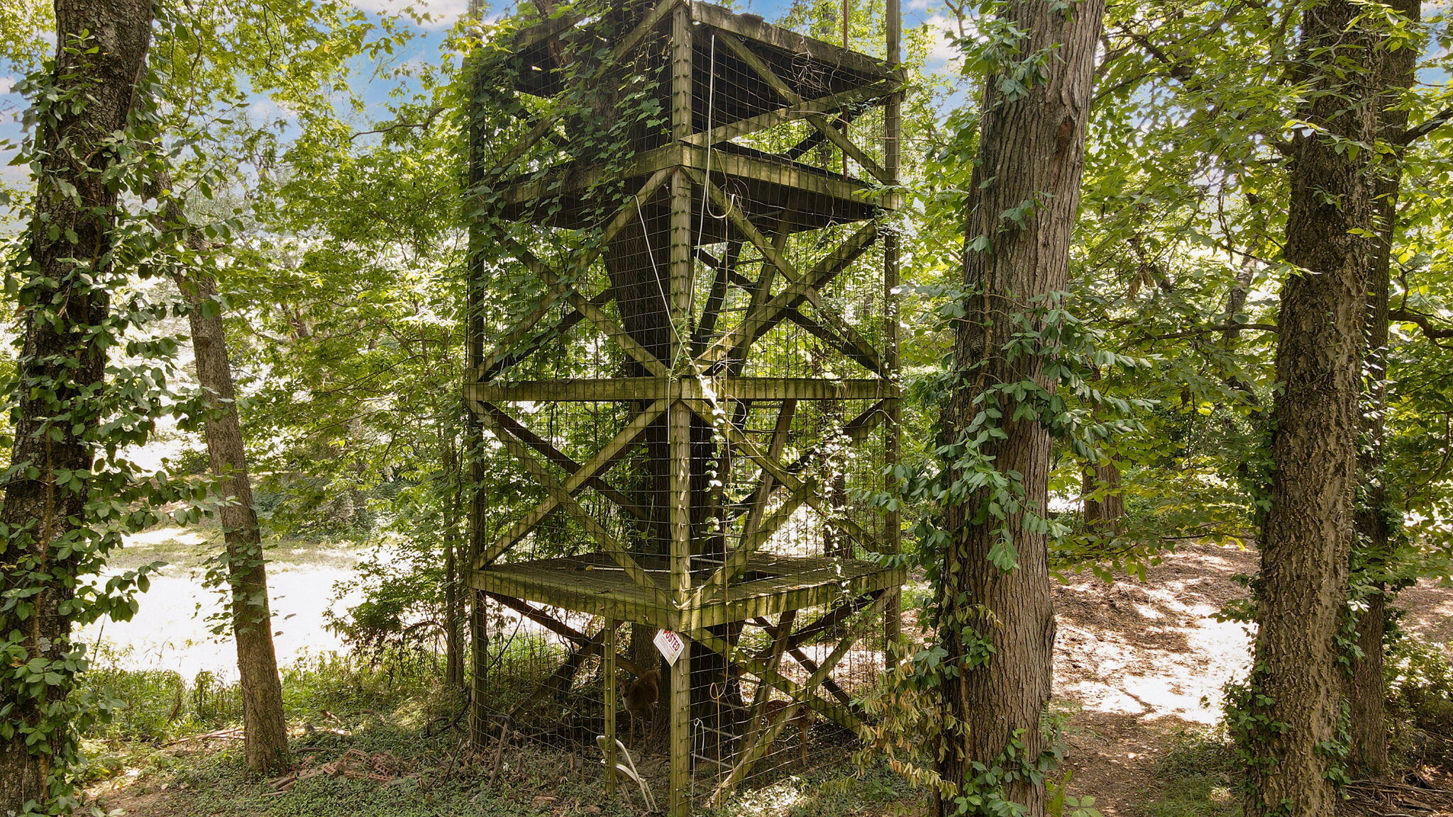 000 South Farm Road 197 Property Photo 1