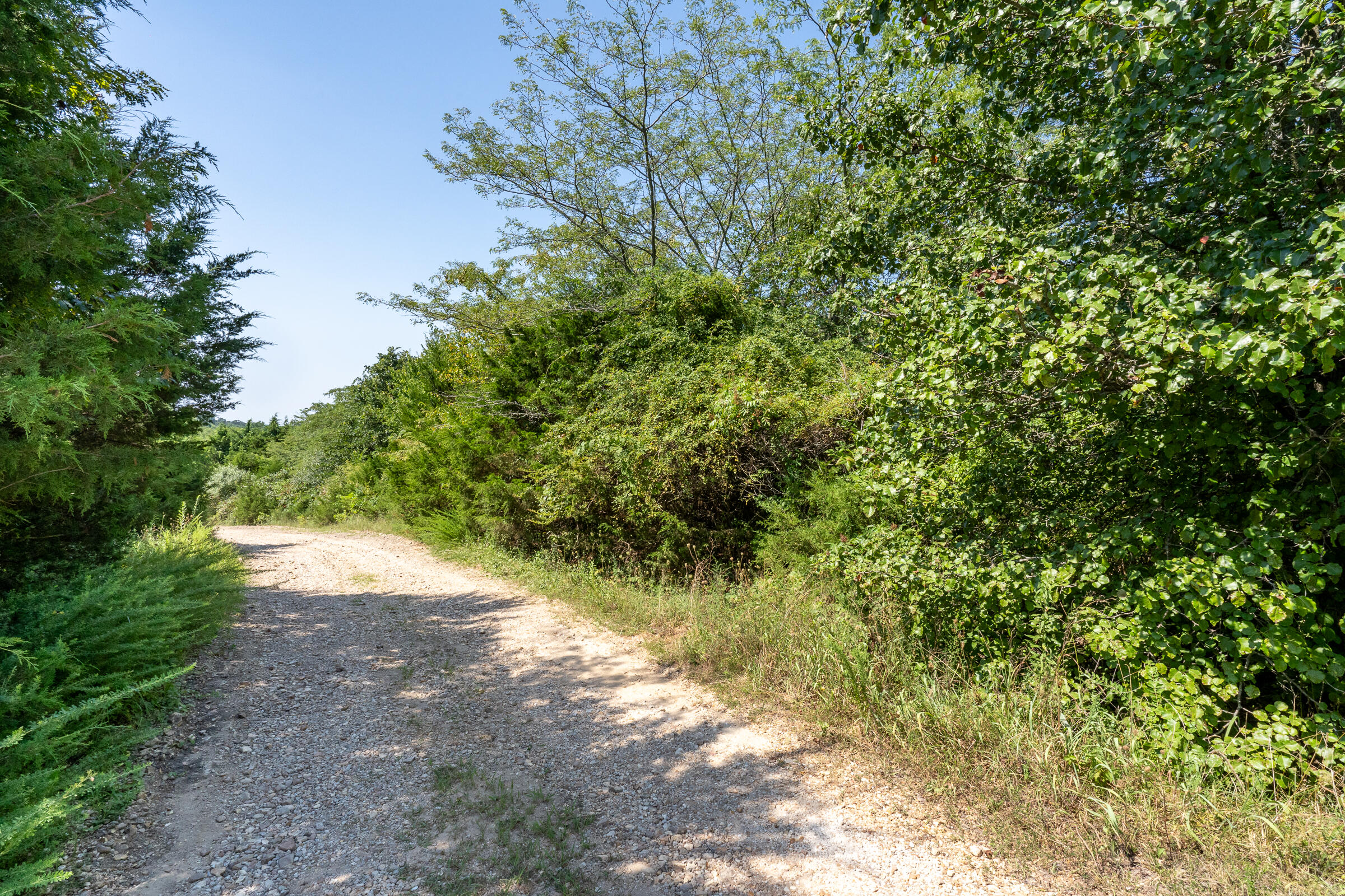 000 Beulah Creek Drive Lot 2 Property Photo 6