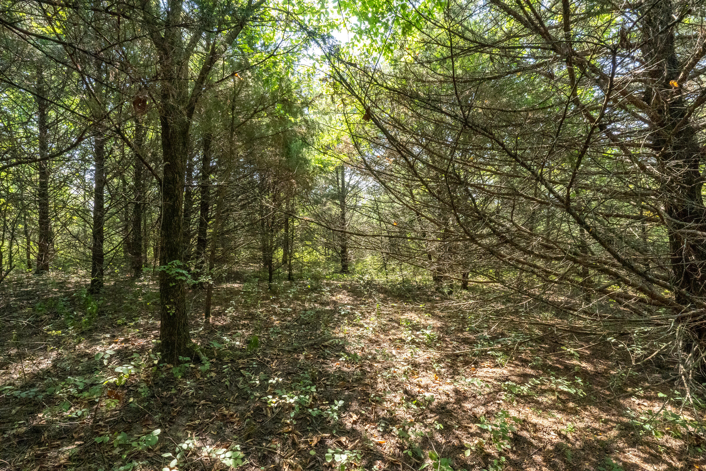 000 Beulah Creek Drive Lot 2 Property Photo 9