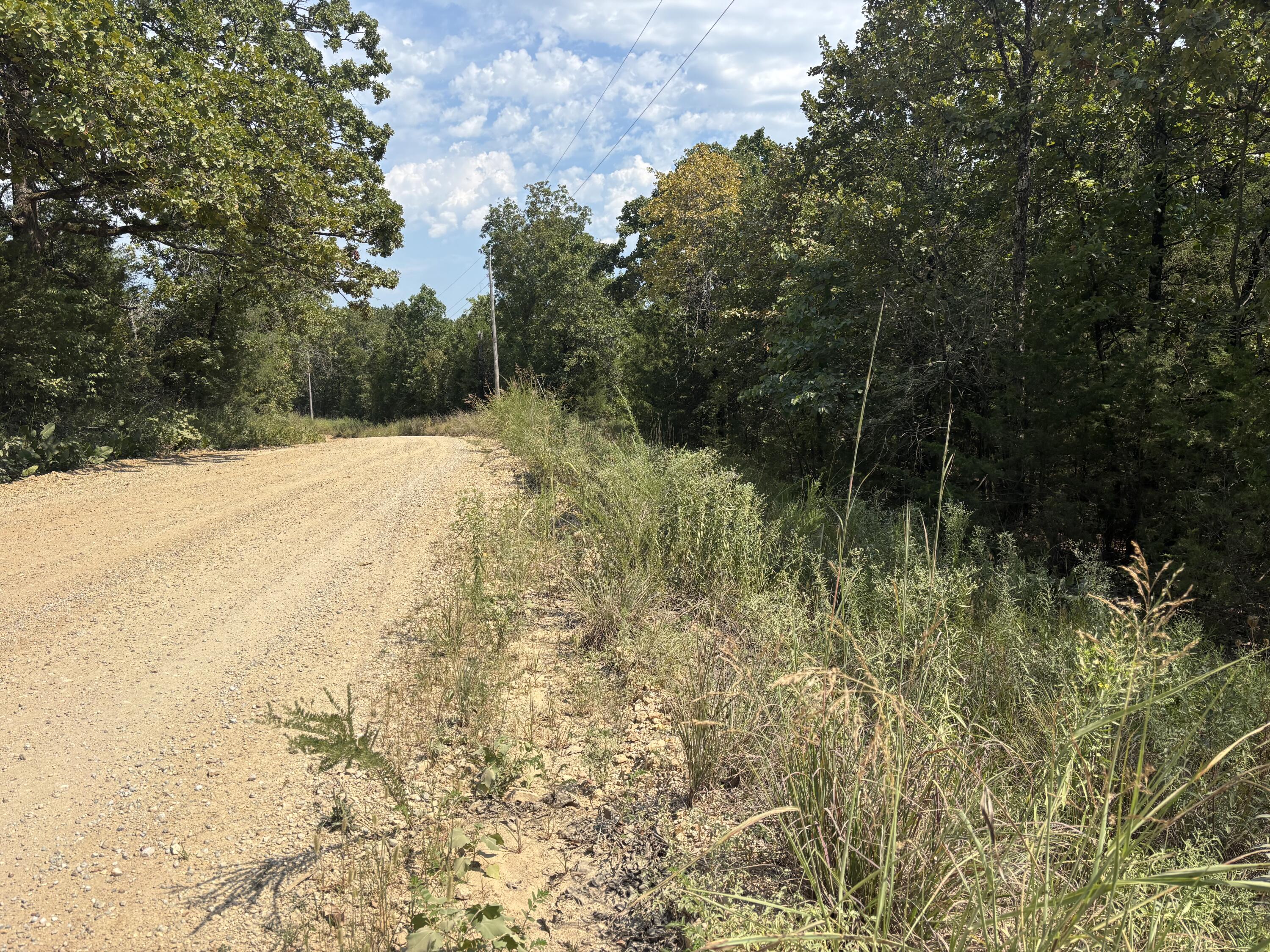 Tbd County Road 804 Property Photo 1