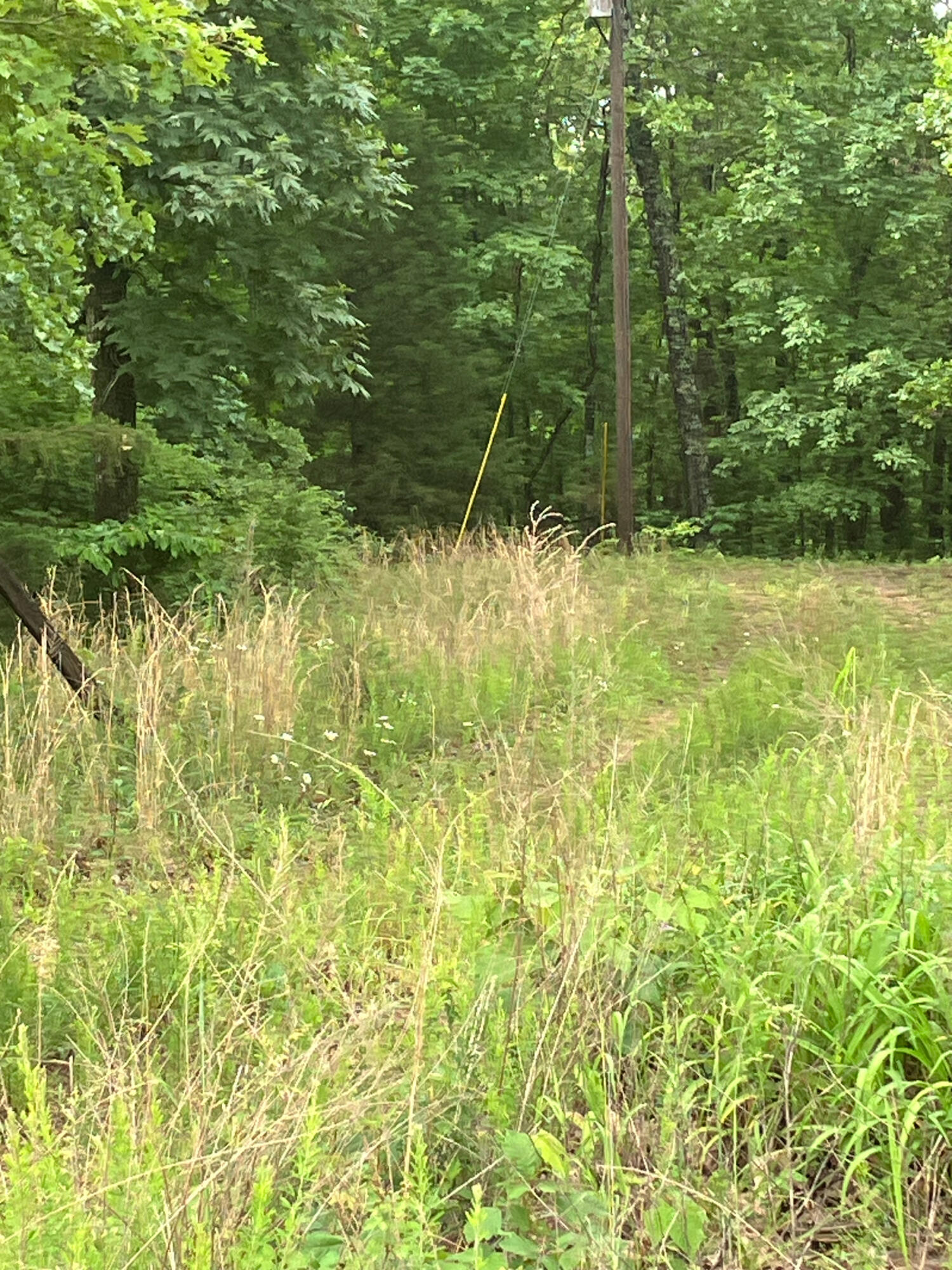 000 Us Highway 160 Property Photo 2